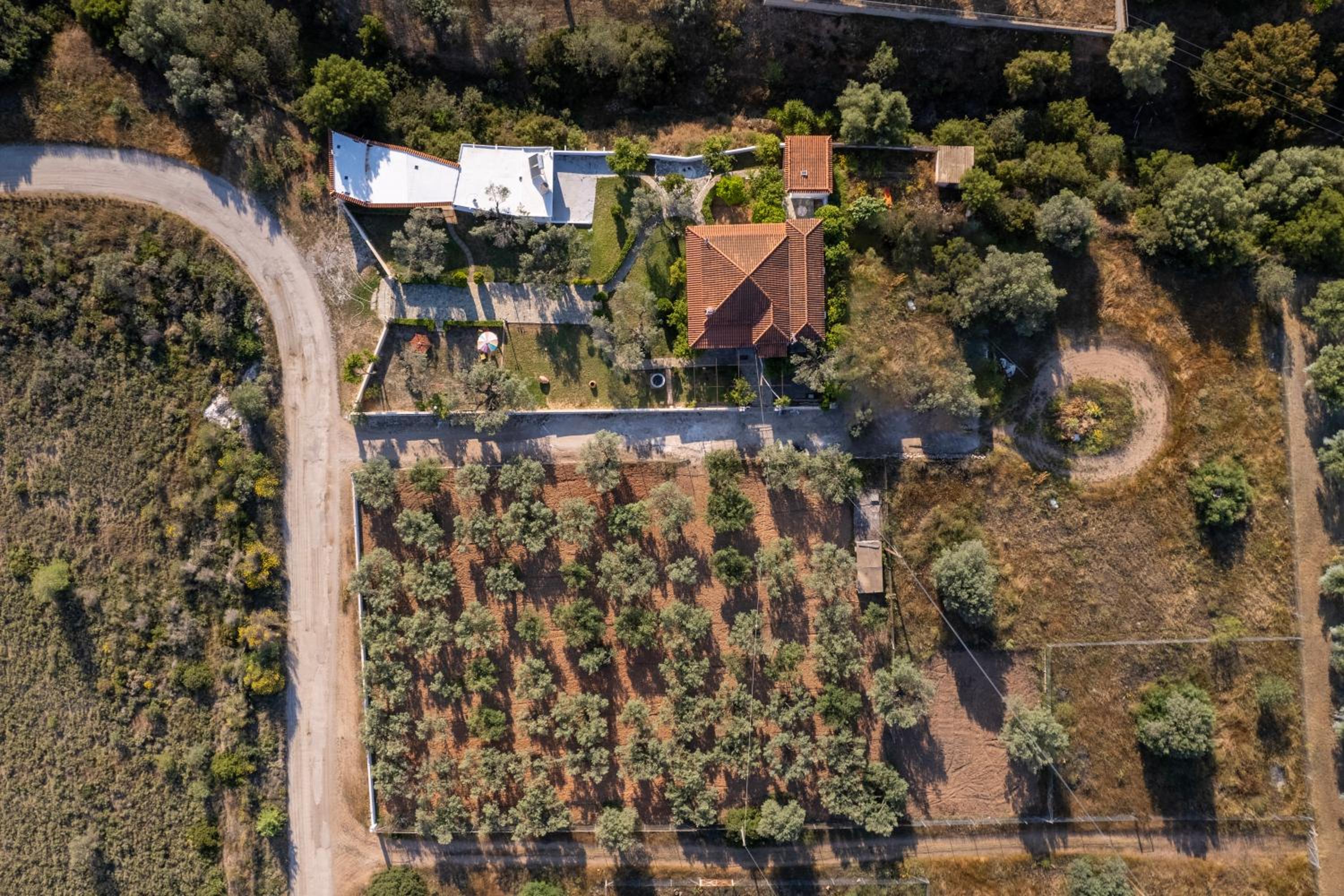 Green Garden
