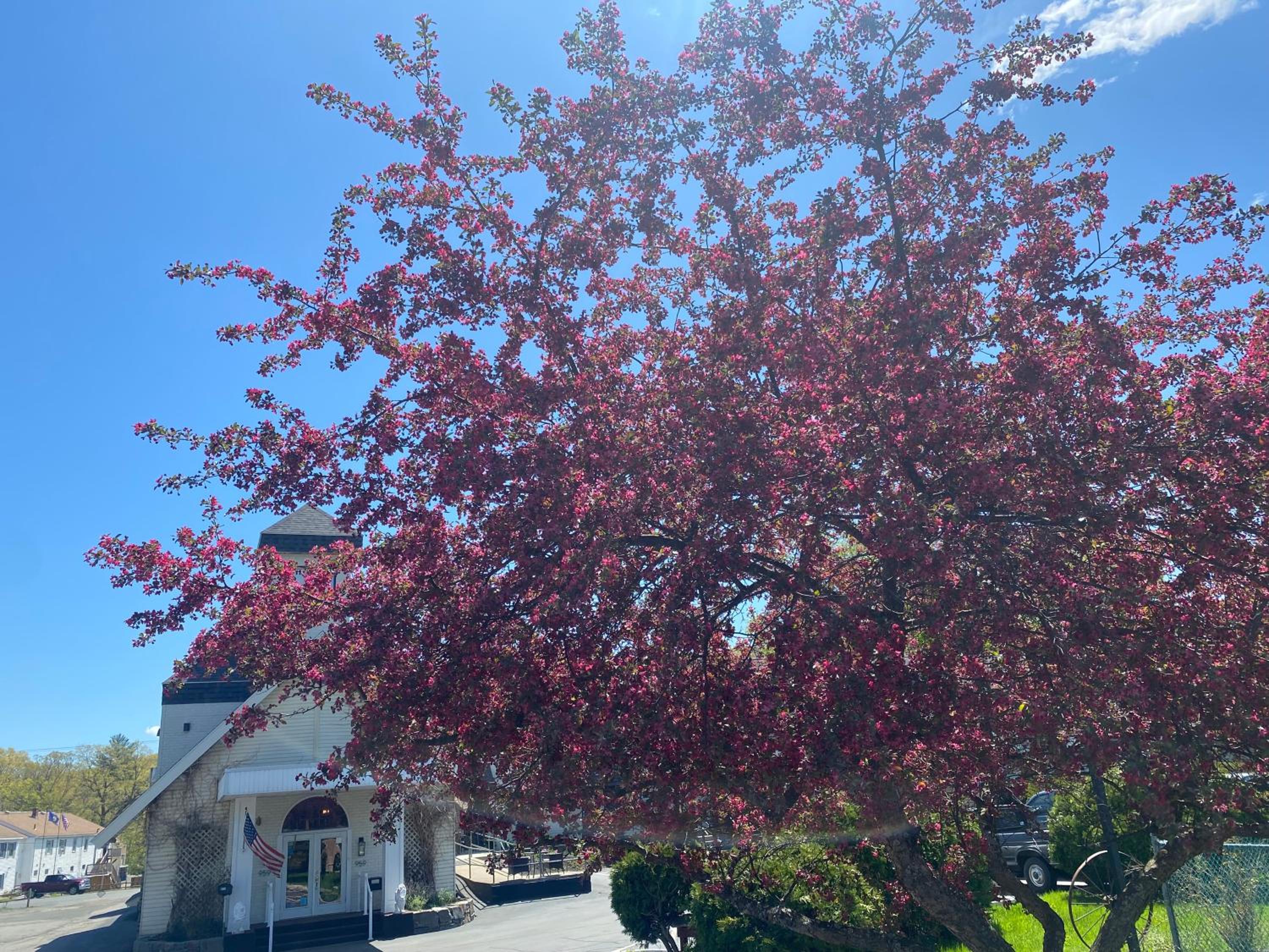 Brattleboro Vacations - The Black Mountain Inn - Property Image 43