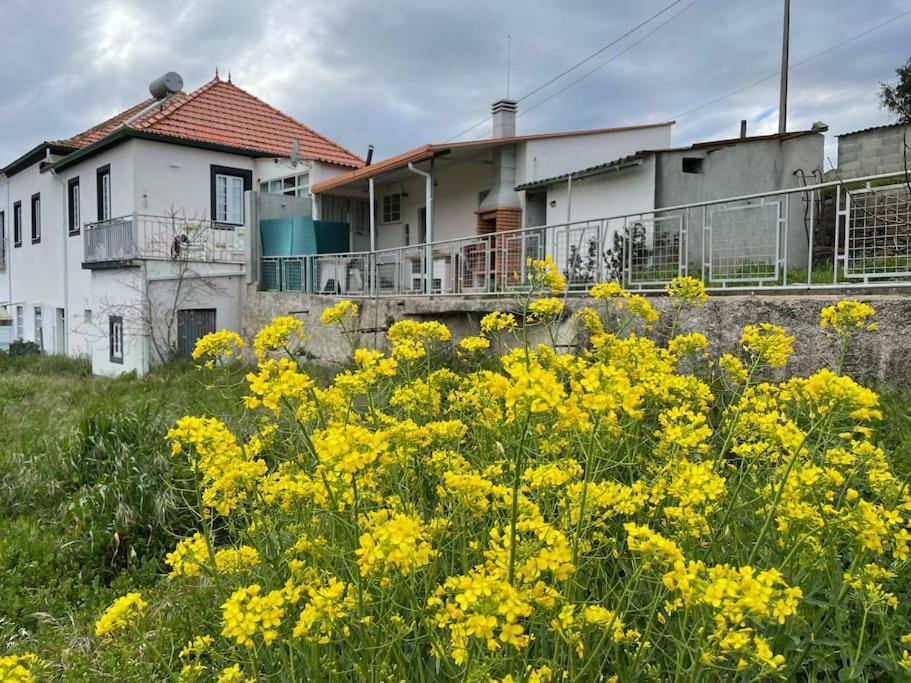 Casa da Celeste view 3