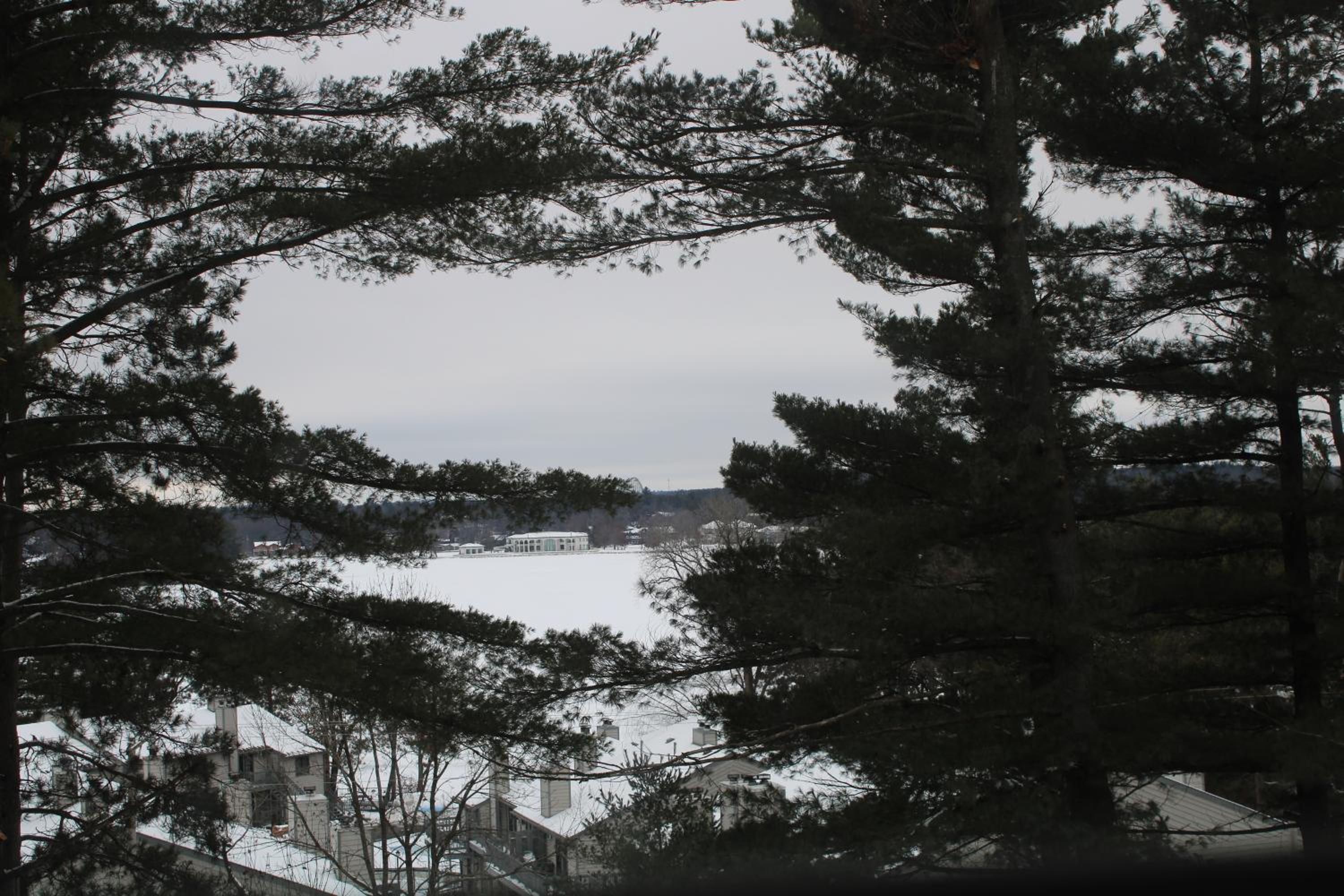 Photo 41