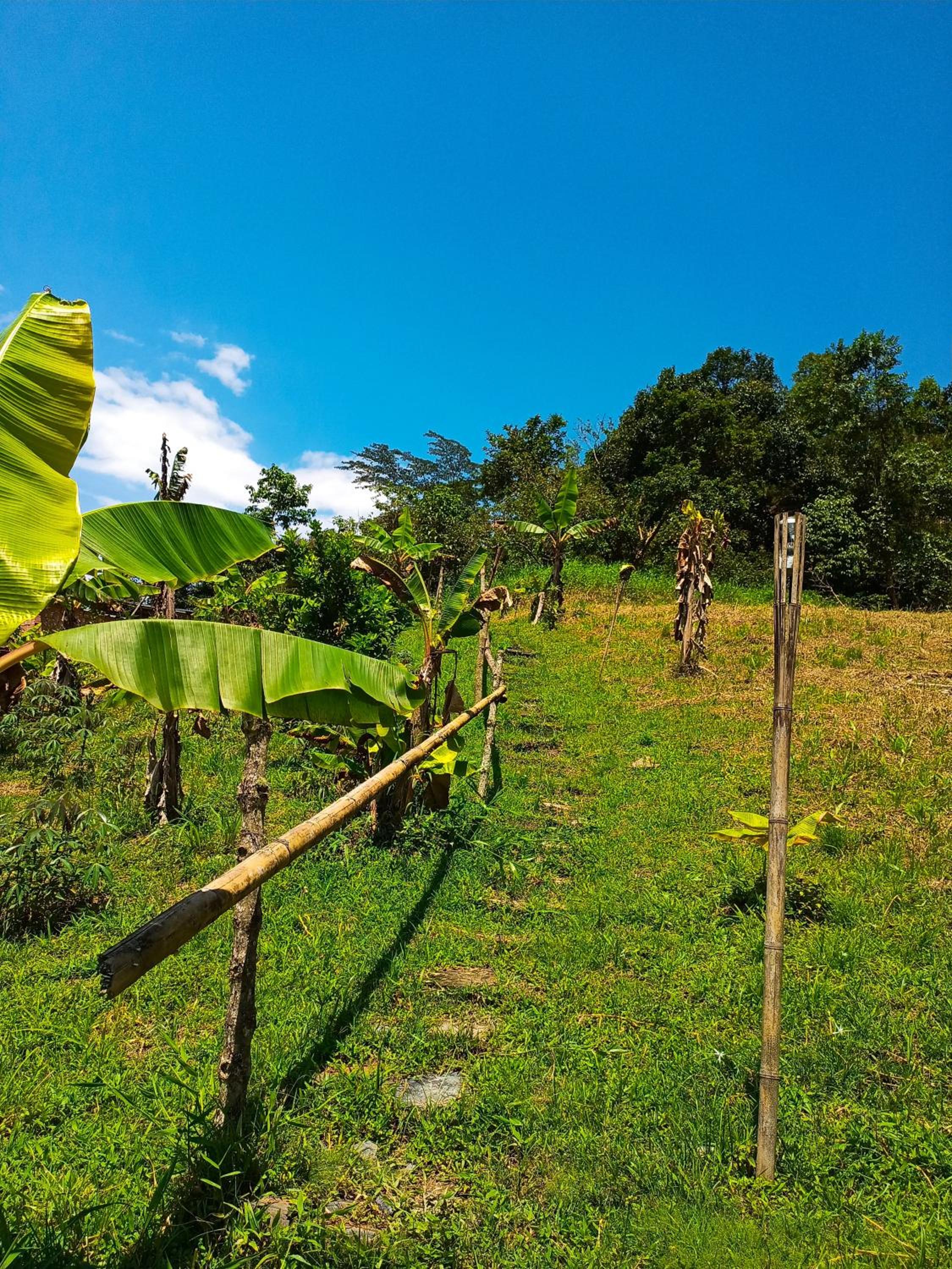 Cabaña en el Campo
