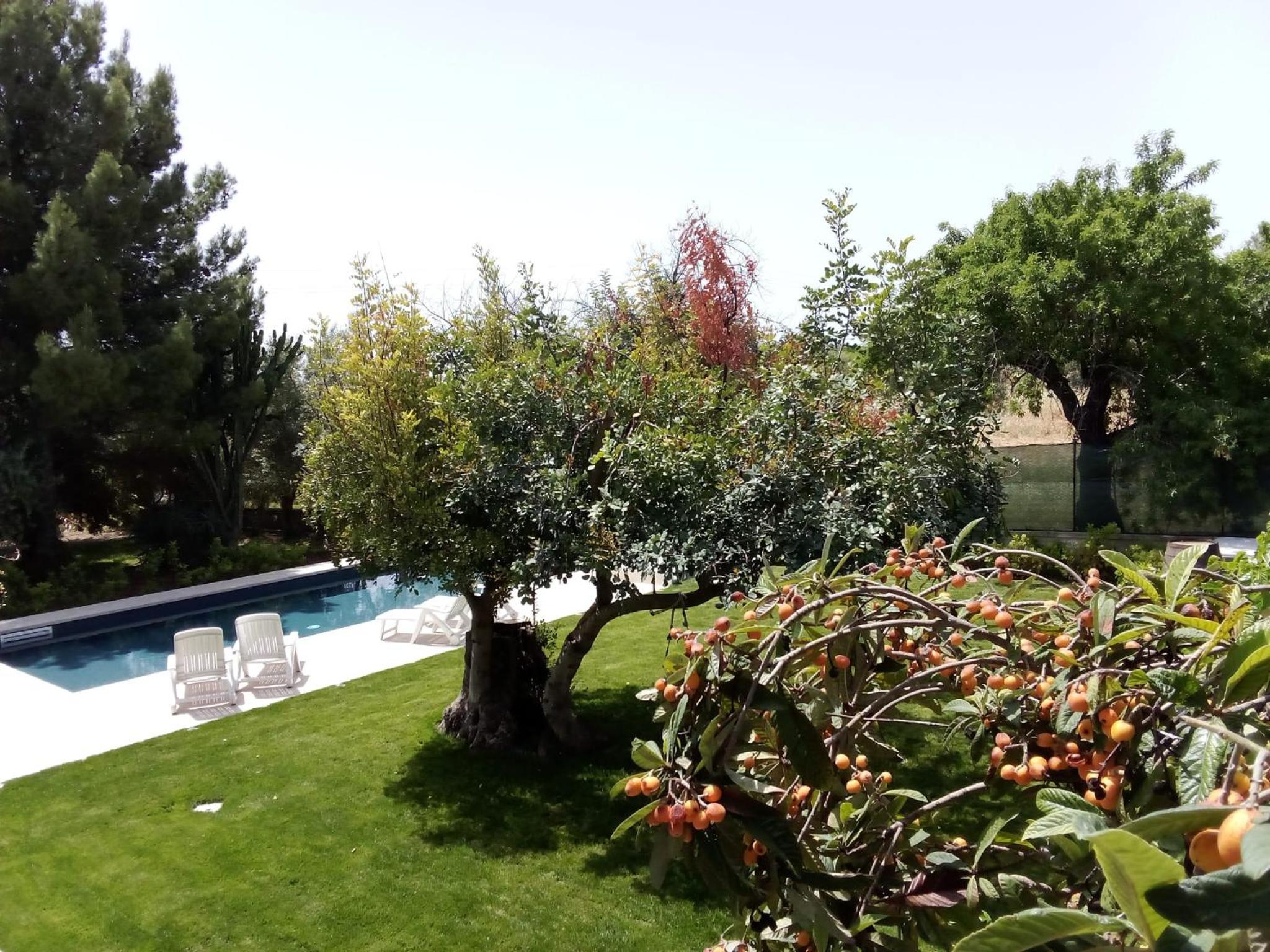 Zacchitella Garden House view 5