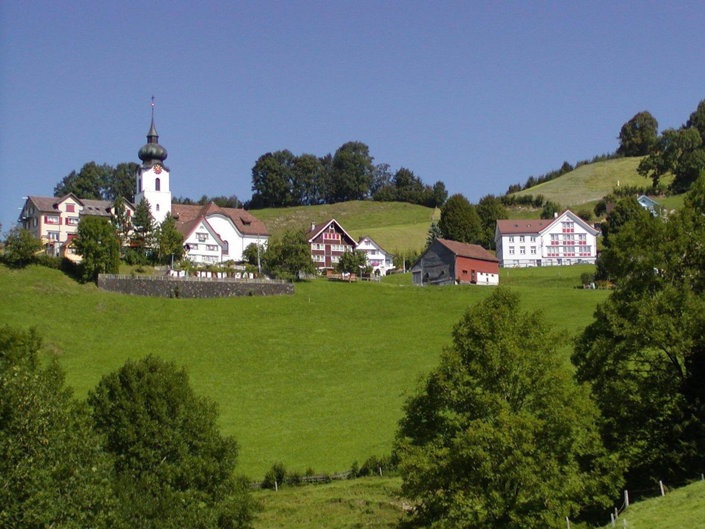 Photo 44
