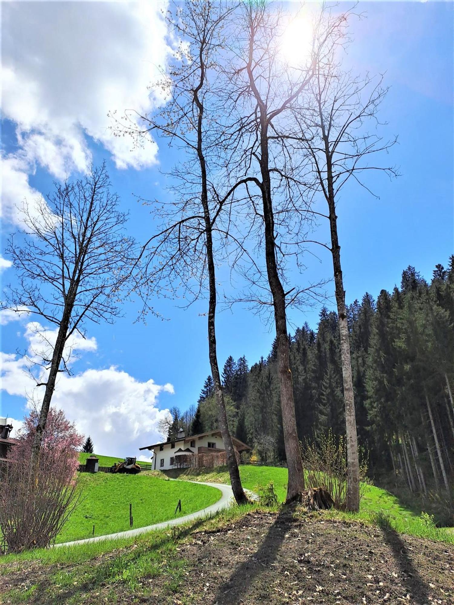Ferienhaus Hansl