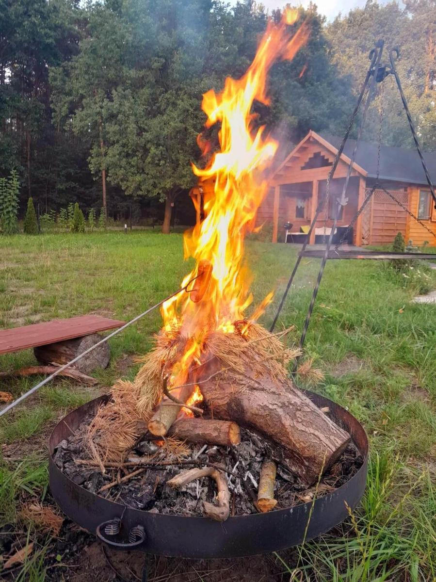 Photo 19