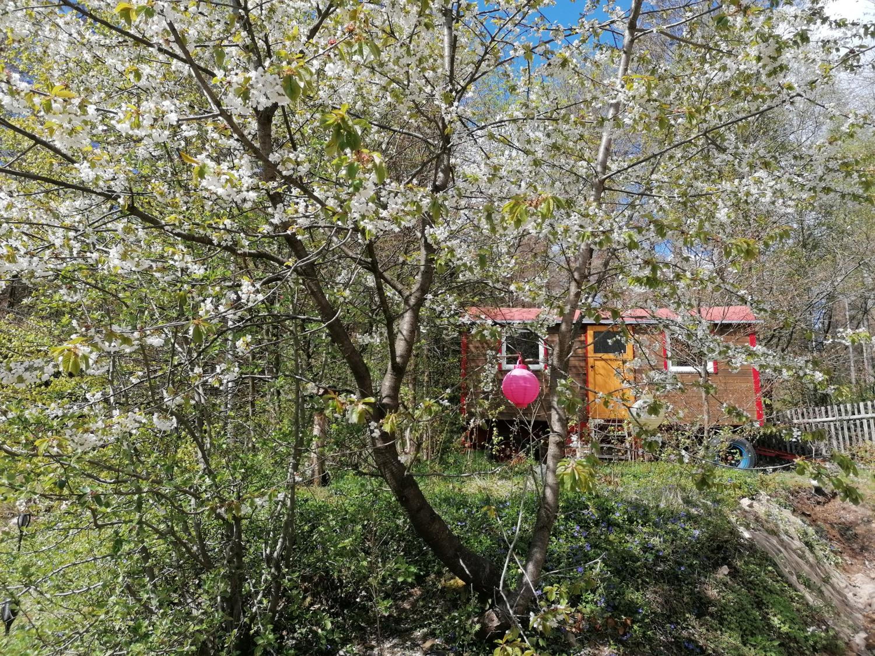 Villa Viriditas