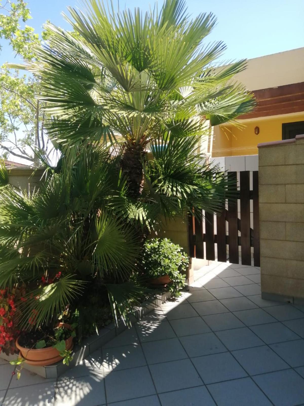 VILLA LORETTA photo 3