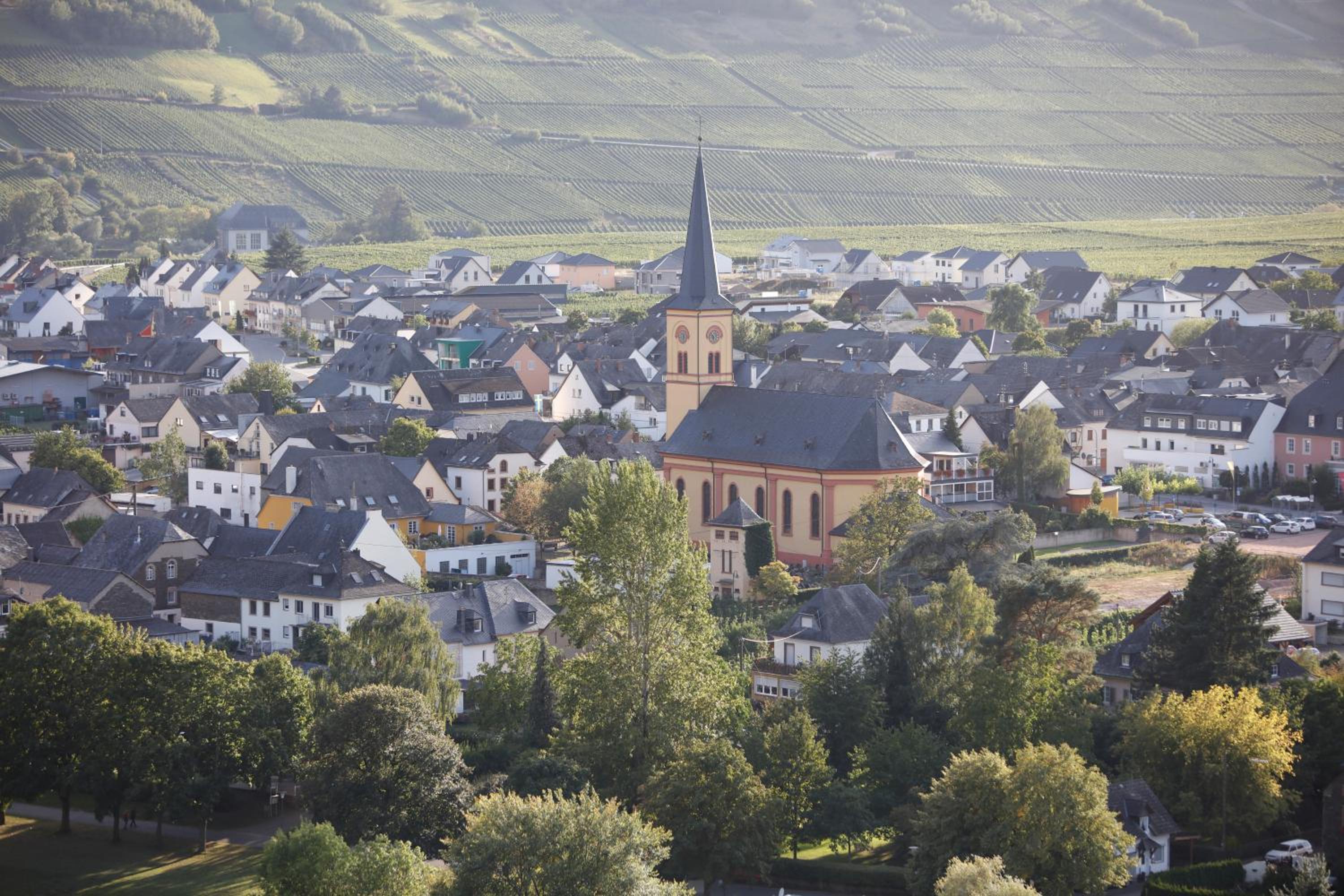Moselhaus by Clüsserath-Wittmann