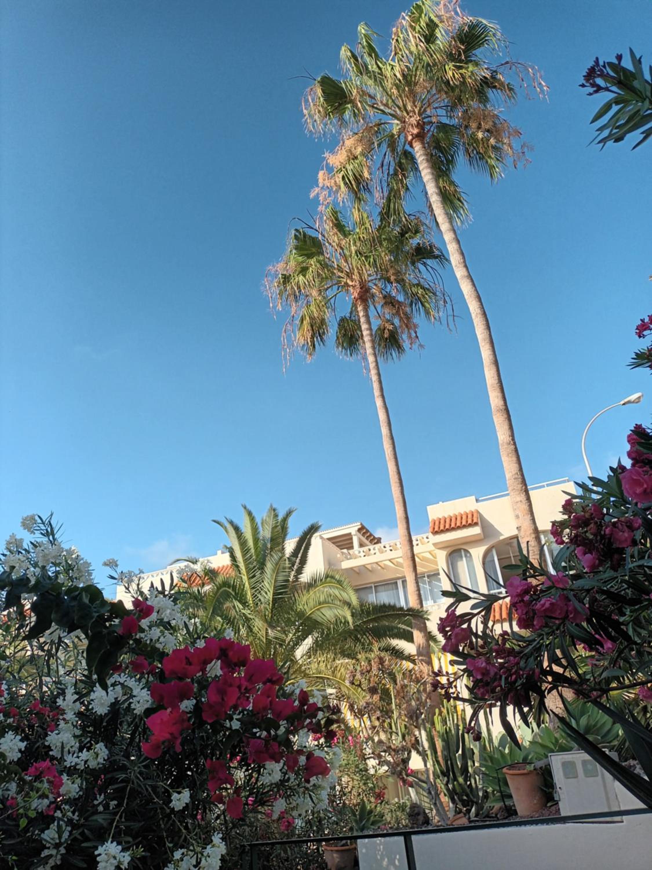 Great oportunity Costa Adeje Holiday apartment first sea line Free Wifi