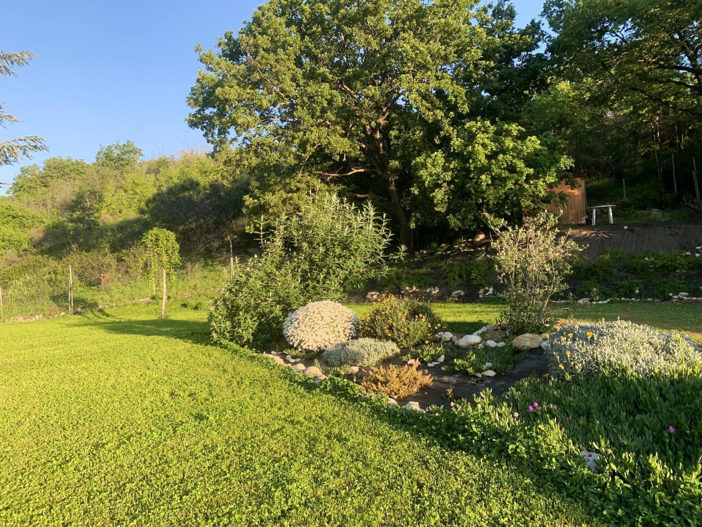 Photo 36