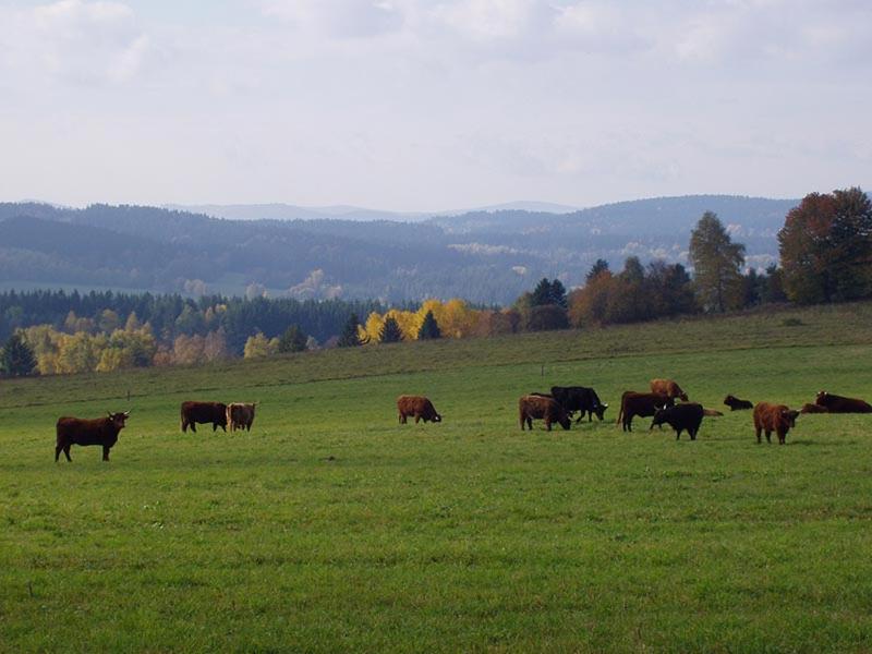 Farma Mošna
