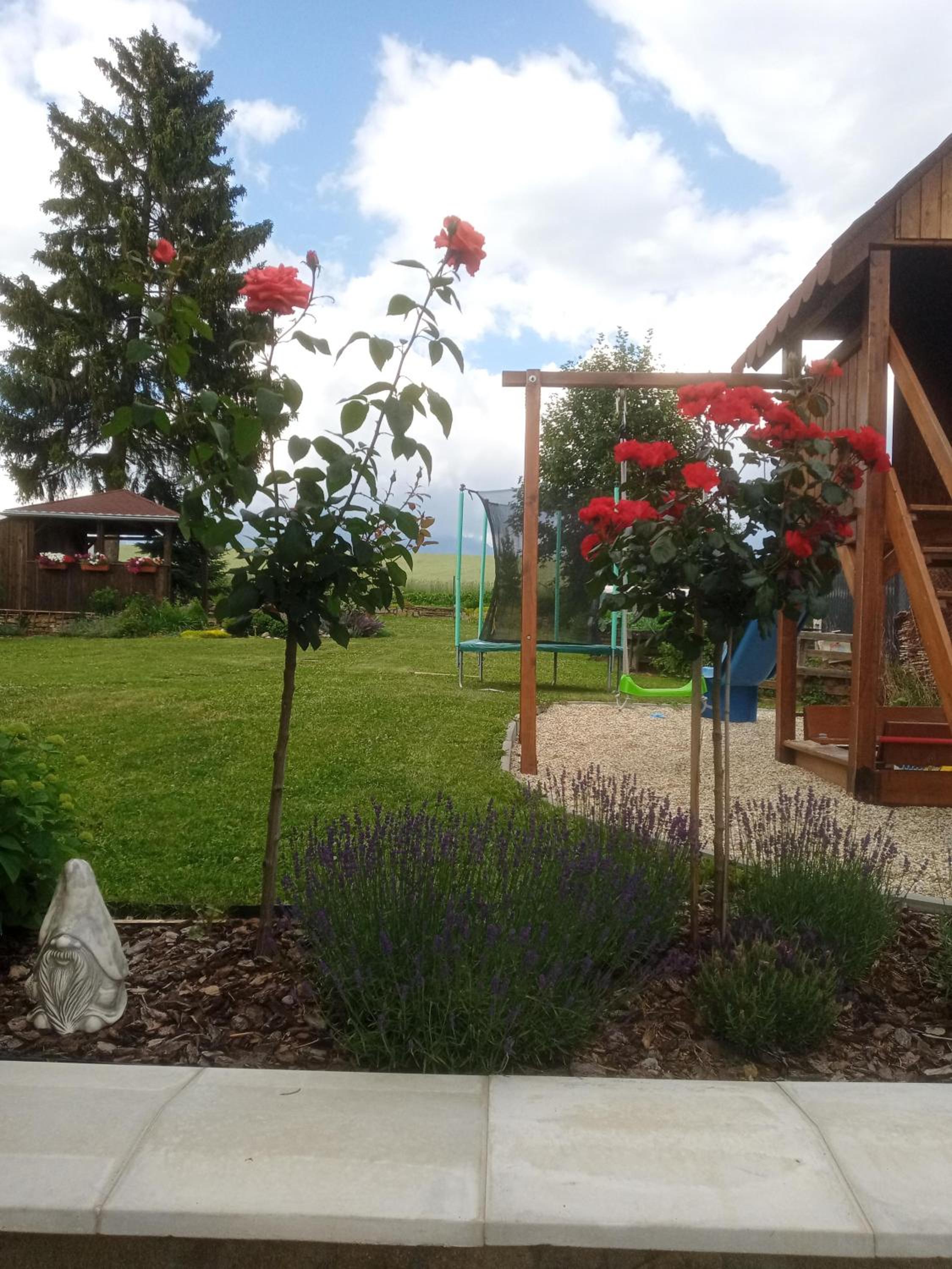 Photo 49