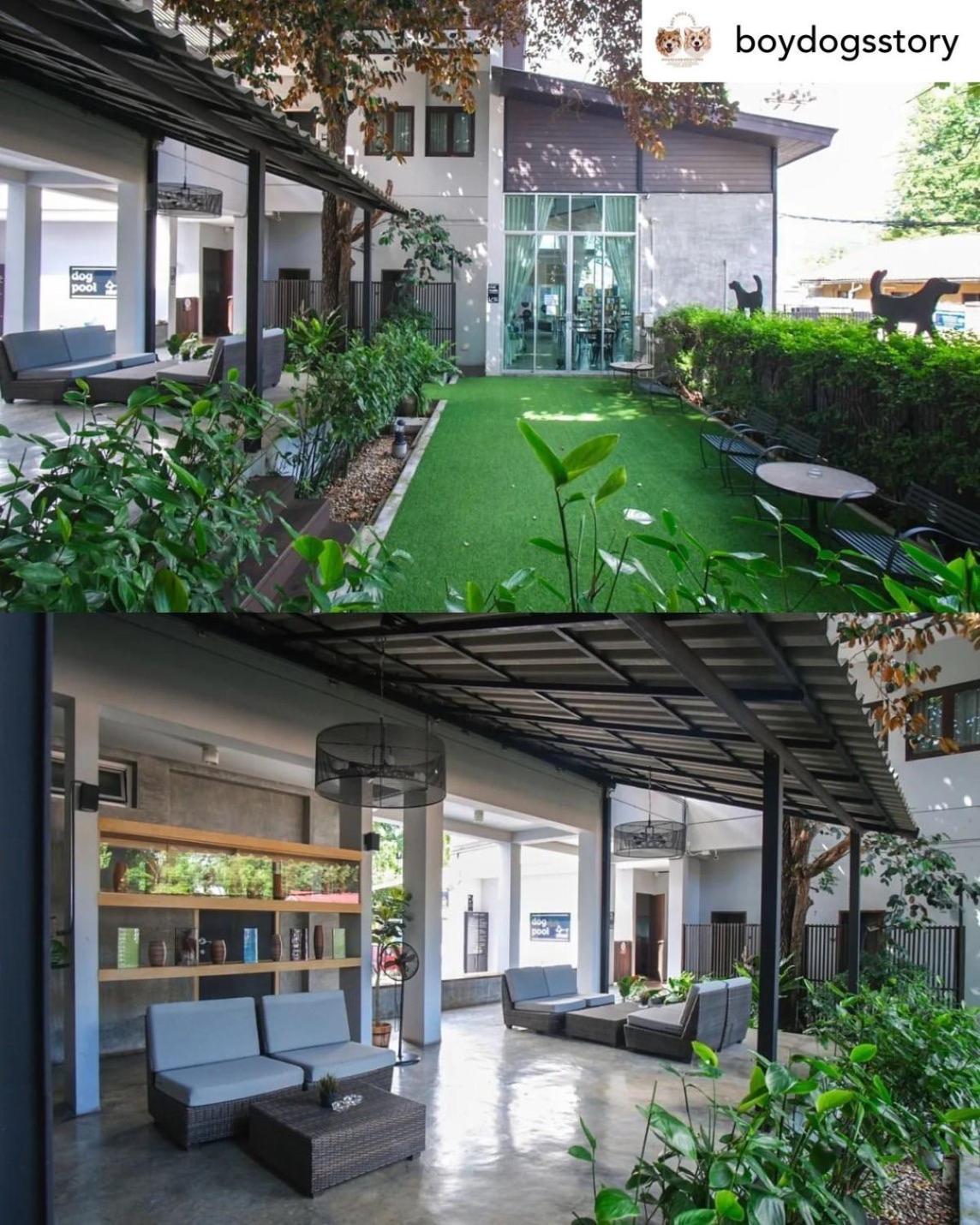 Ketawa Pet Friendly Hotel