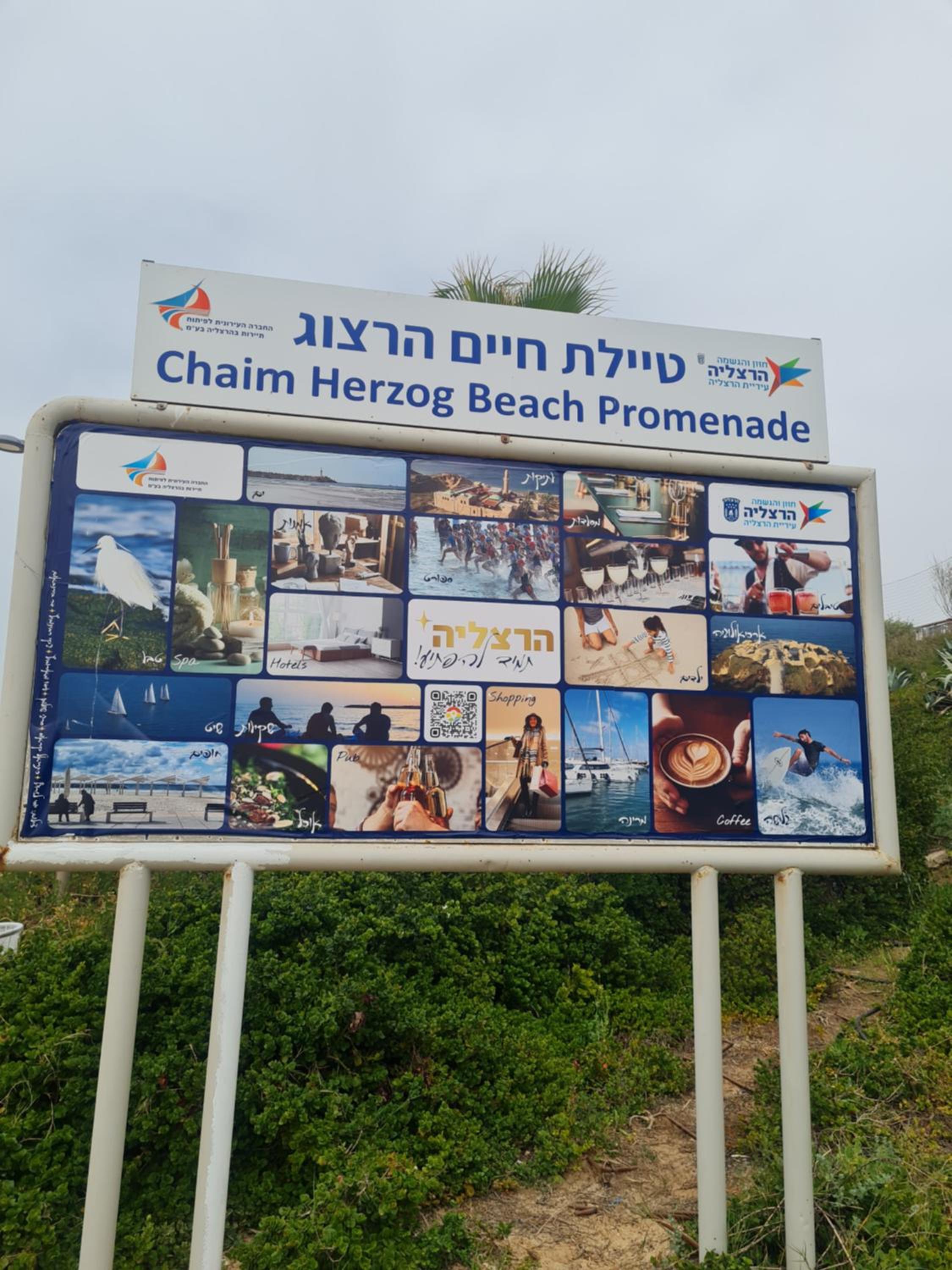 Photo 41