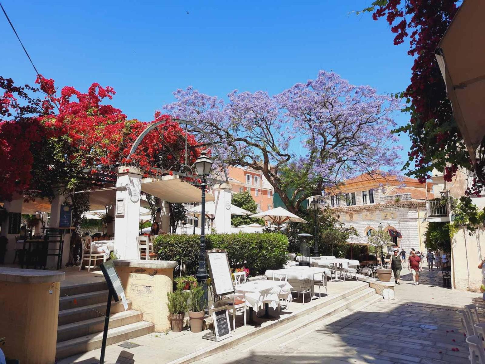 Jacaranda Corfu Old Town Apt view 3