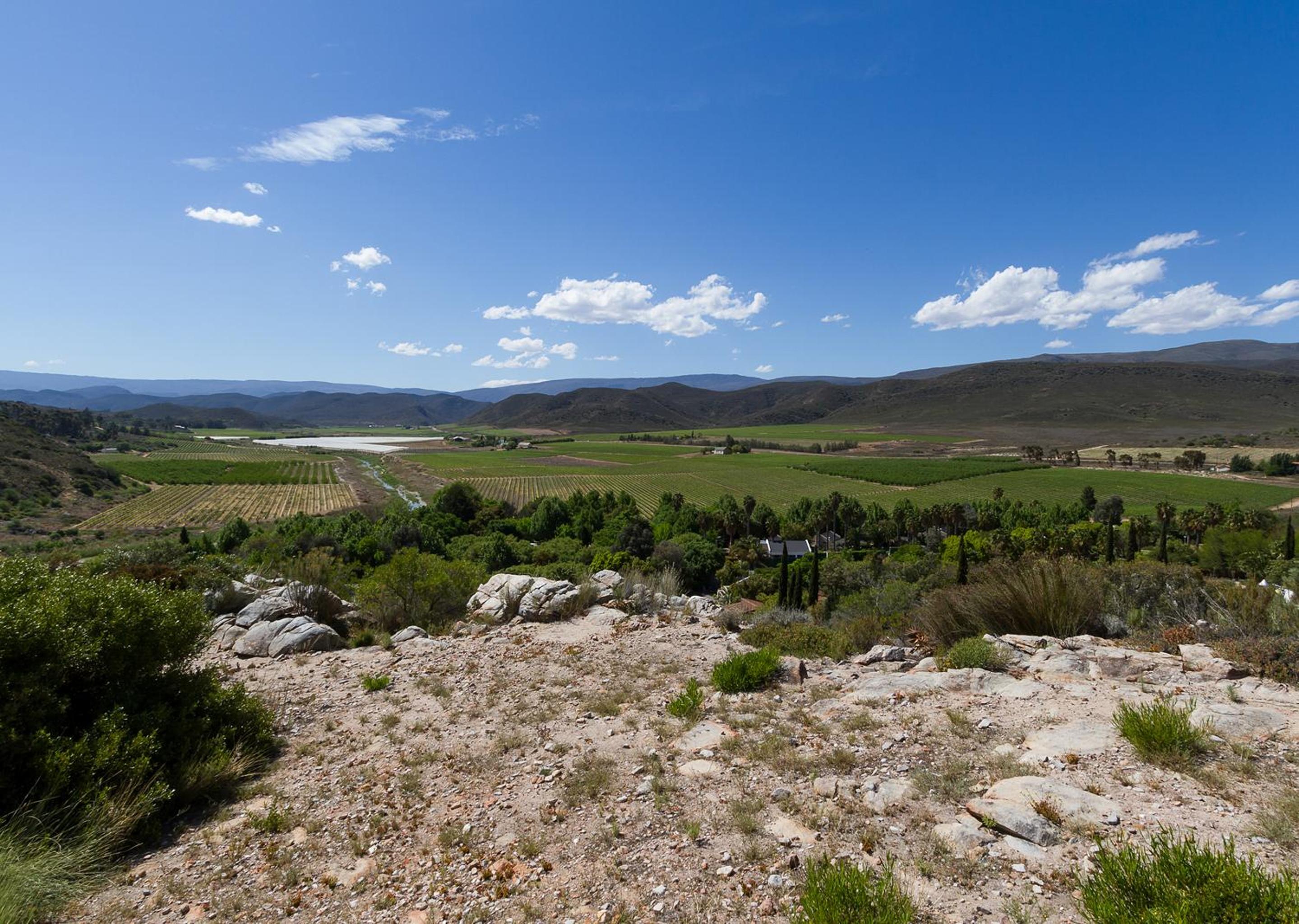 Avalon Springs by Dream Resorts view 3