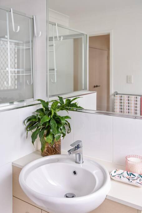 The Arcadia - Entire Luxurious English Cottage With Huge Privacy Near CBD