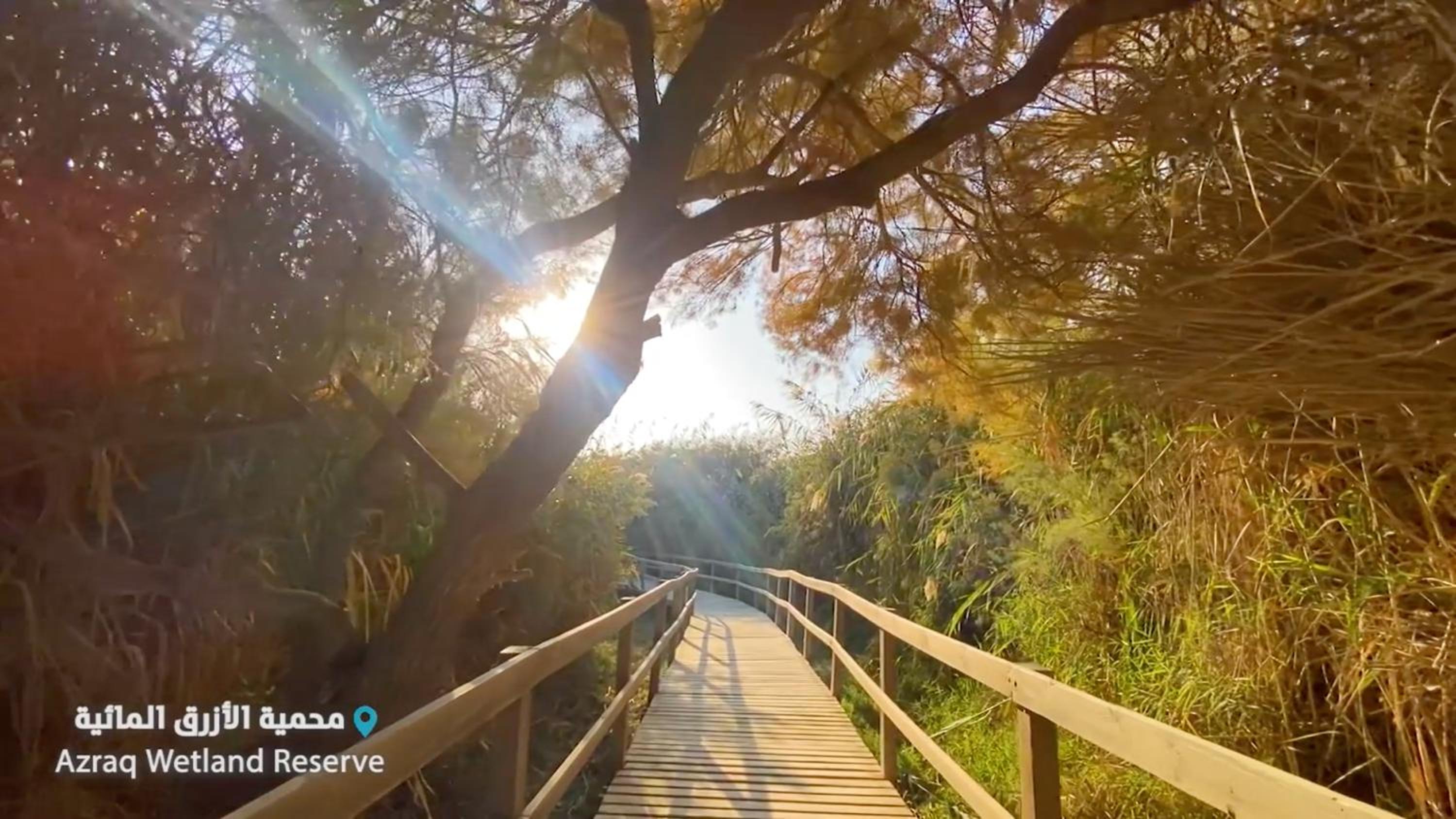 Azraq Lodge