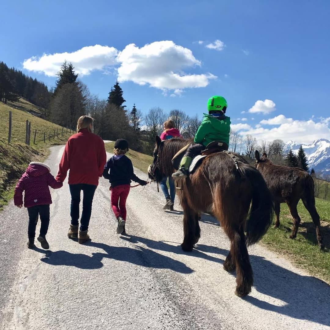 Hirzhof SO Bike&Ski Ridehaus Ski In Ski Out
