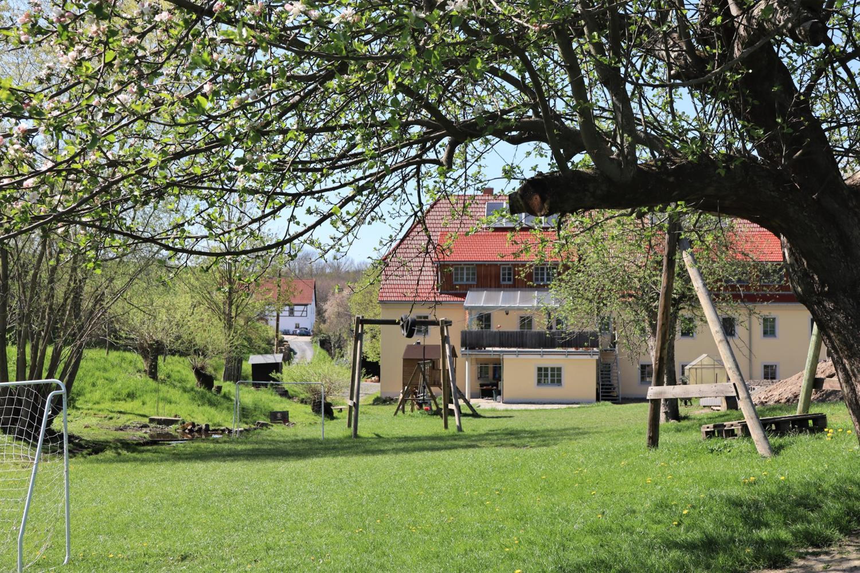 Photo 6