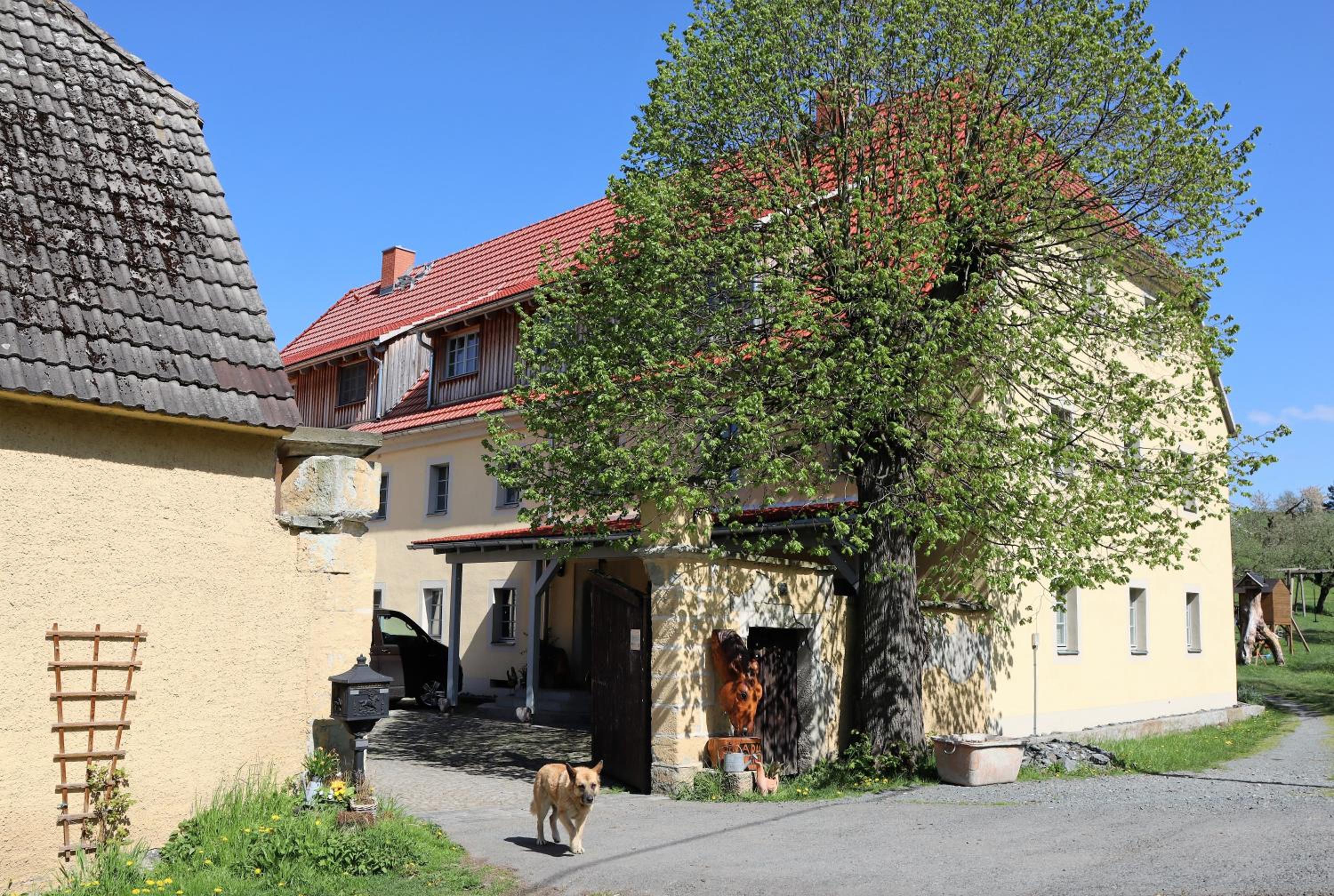 Adlerhof view 5