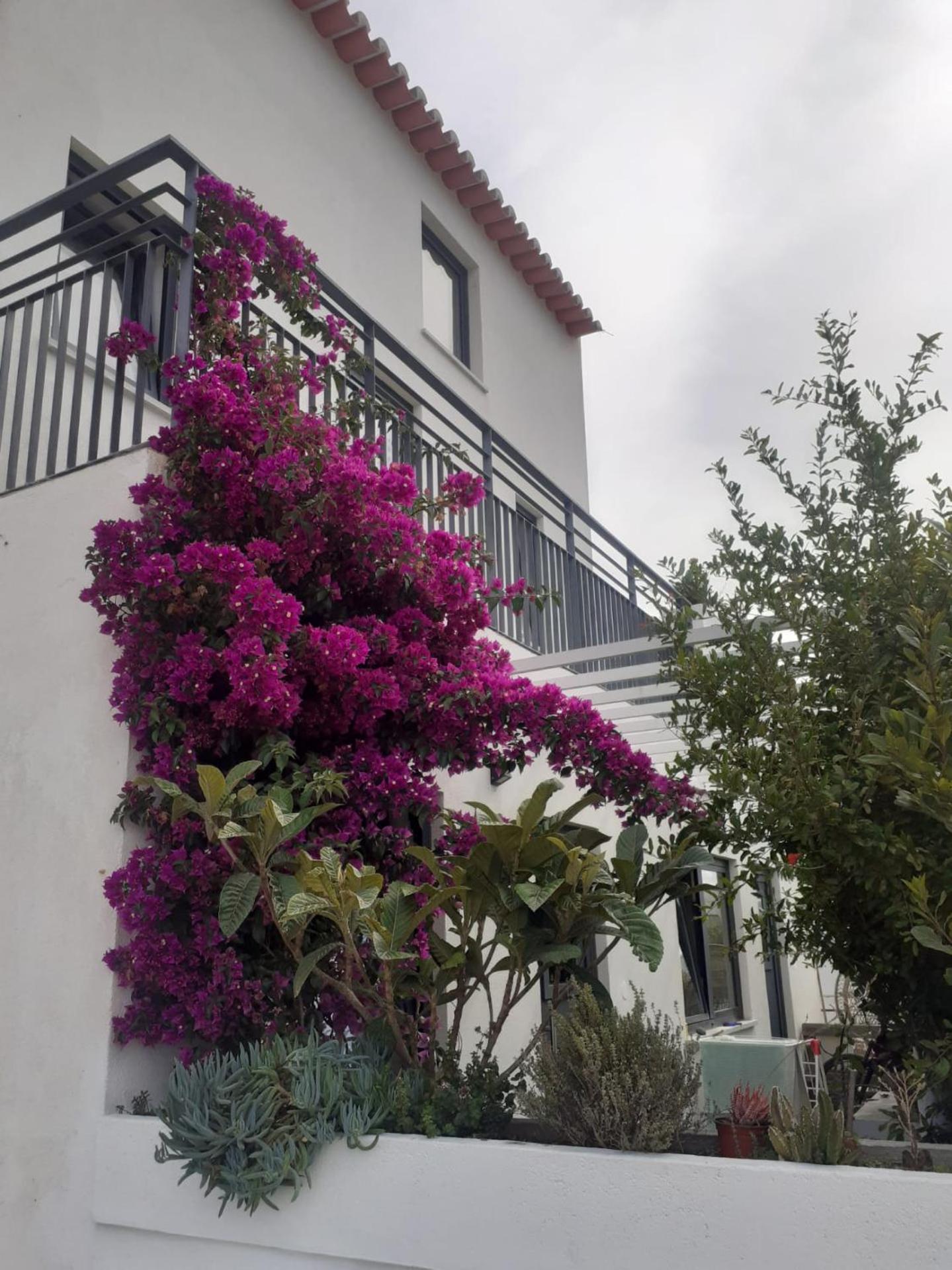 ZENergy - GUEST HOUSE view 2