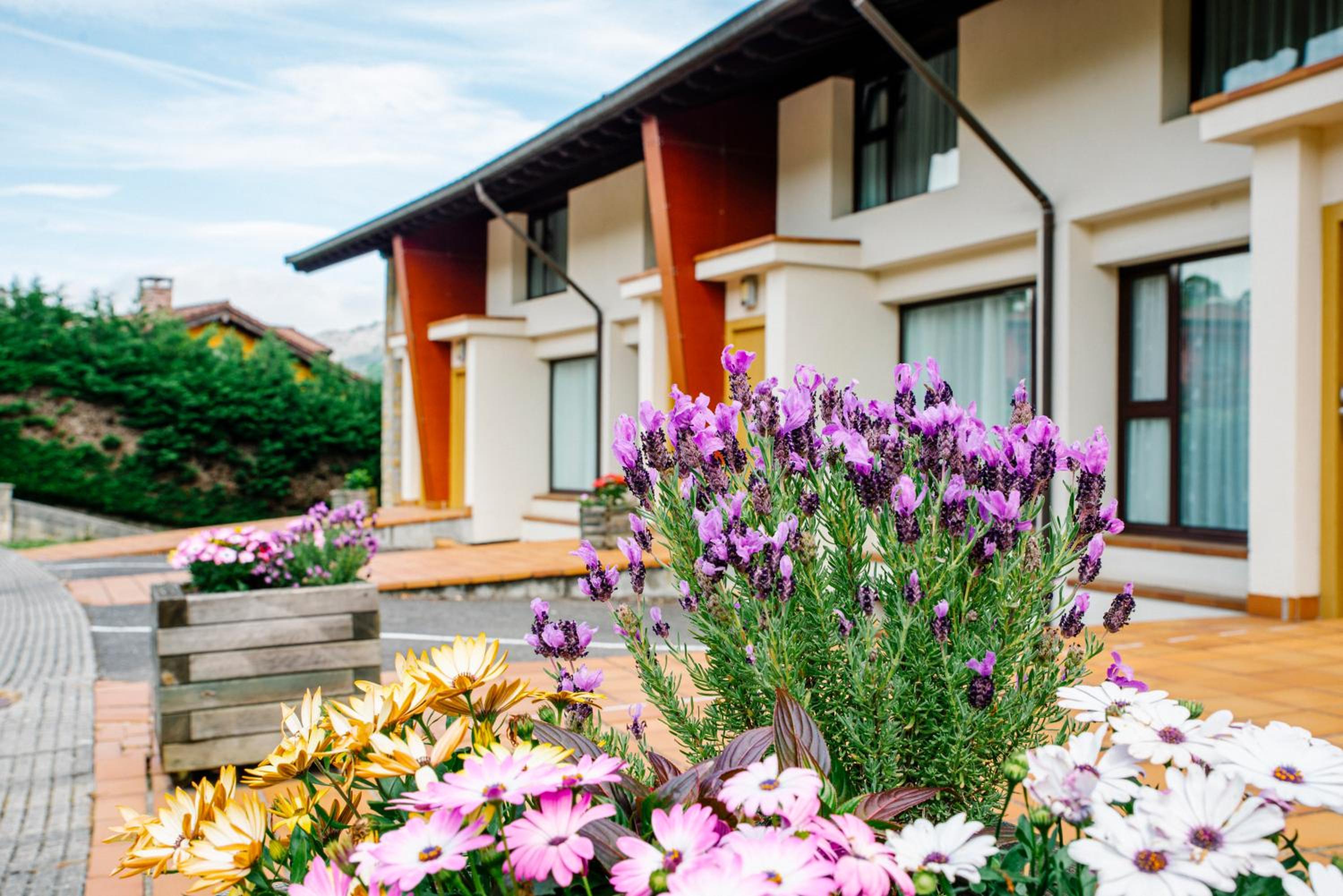 Apartamentos Aldea del Puente
