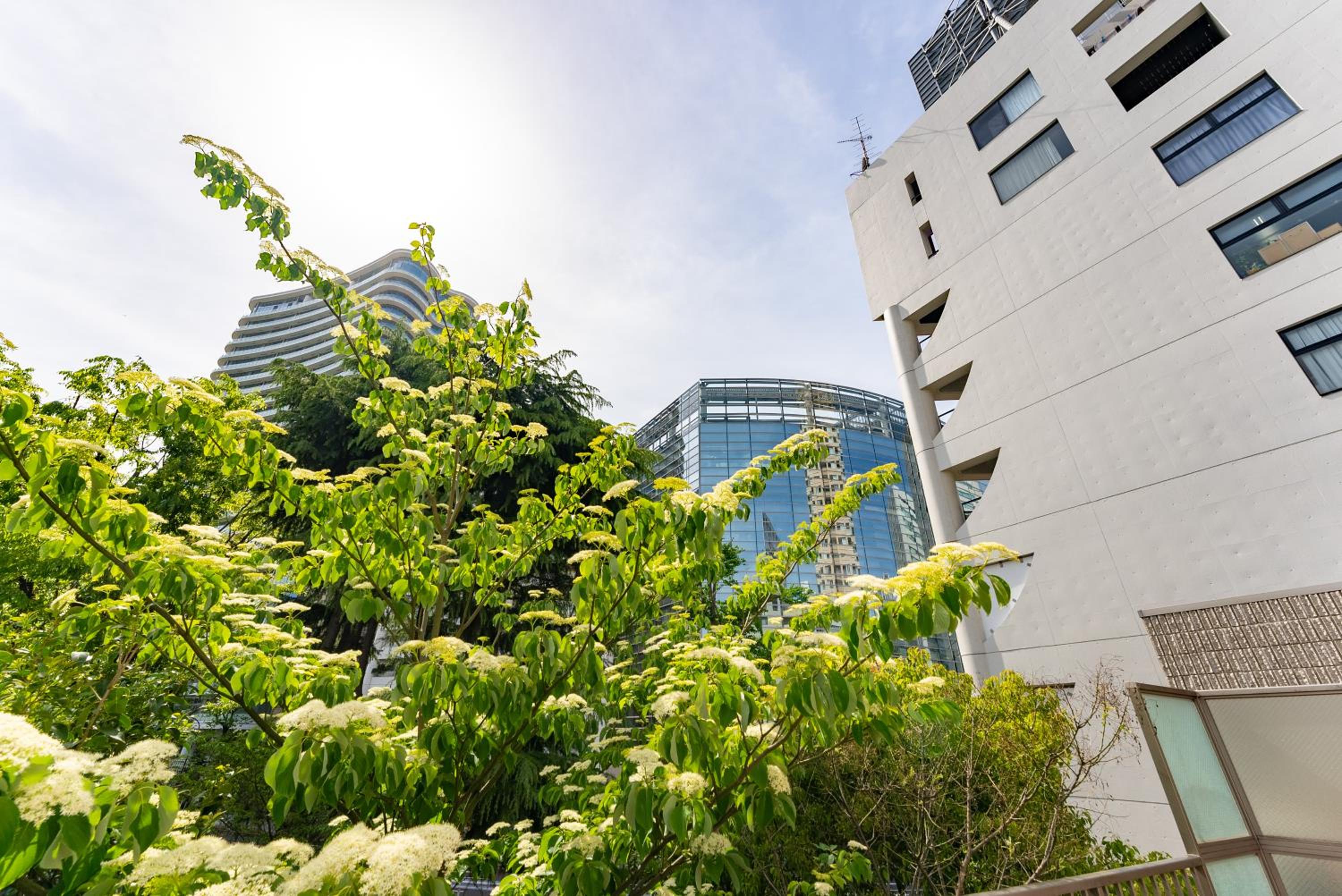 Minami-Aoyama-1st