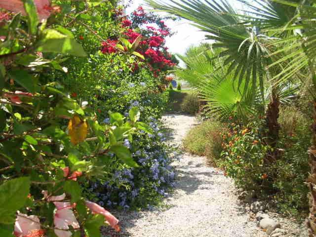Photo 22