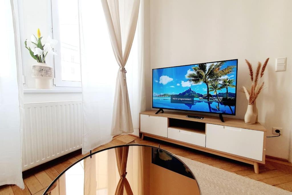 Savoir Vivre Apartments Rosinagasse