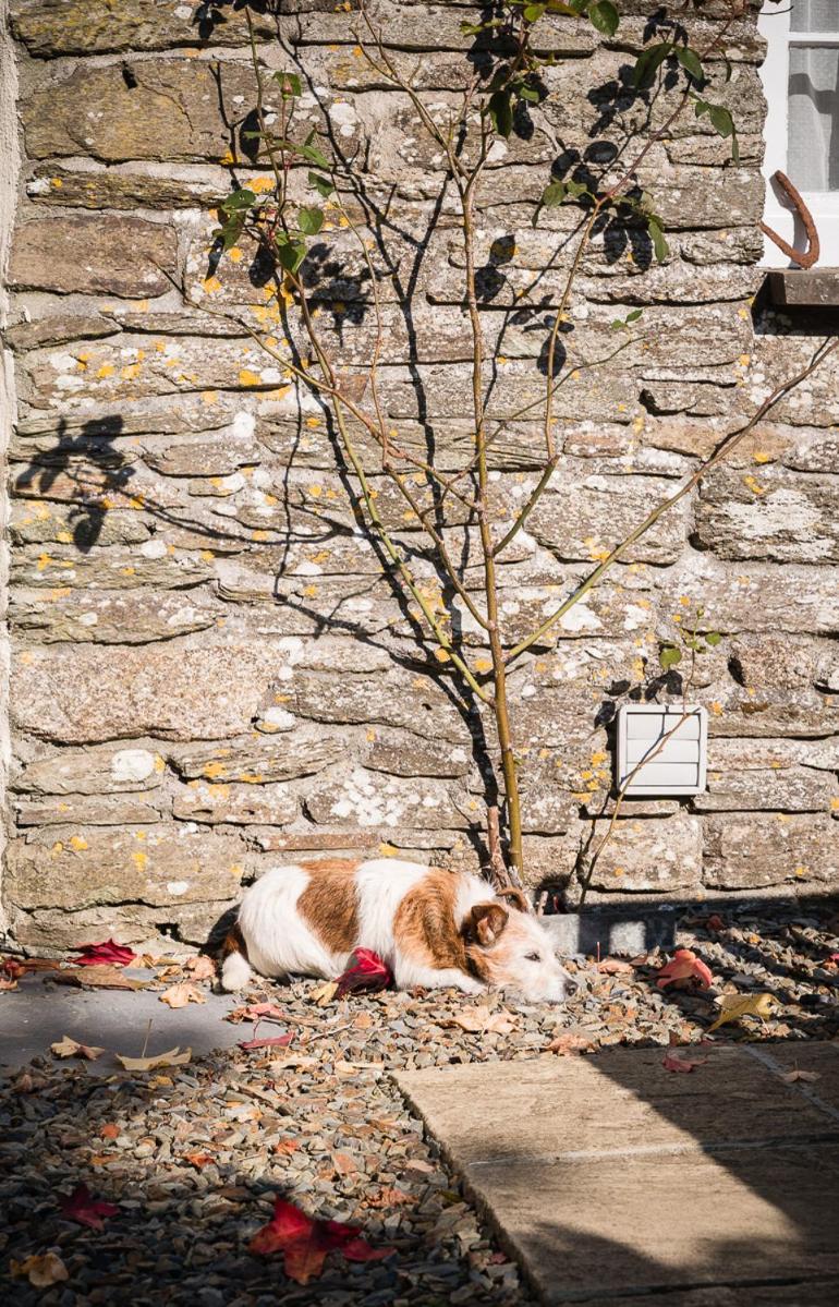 Trevadlock Manor Self Catering Cottages