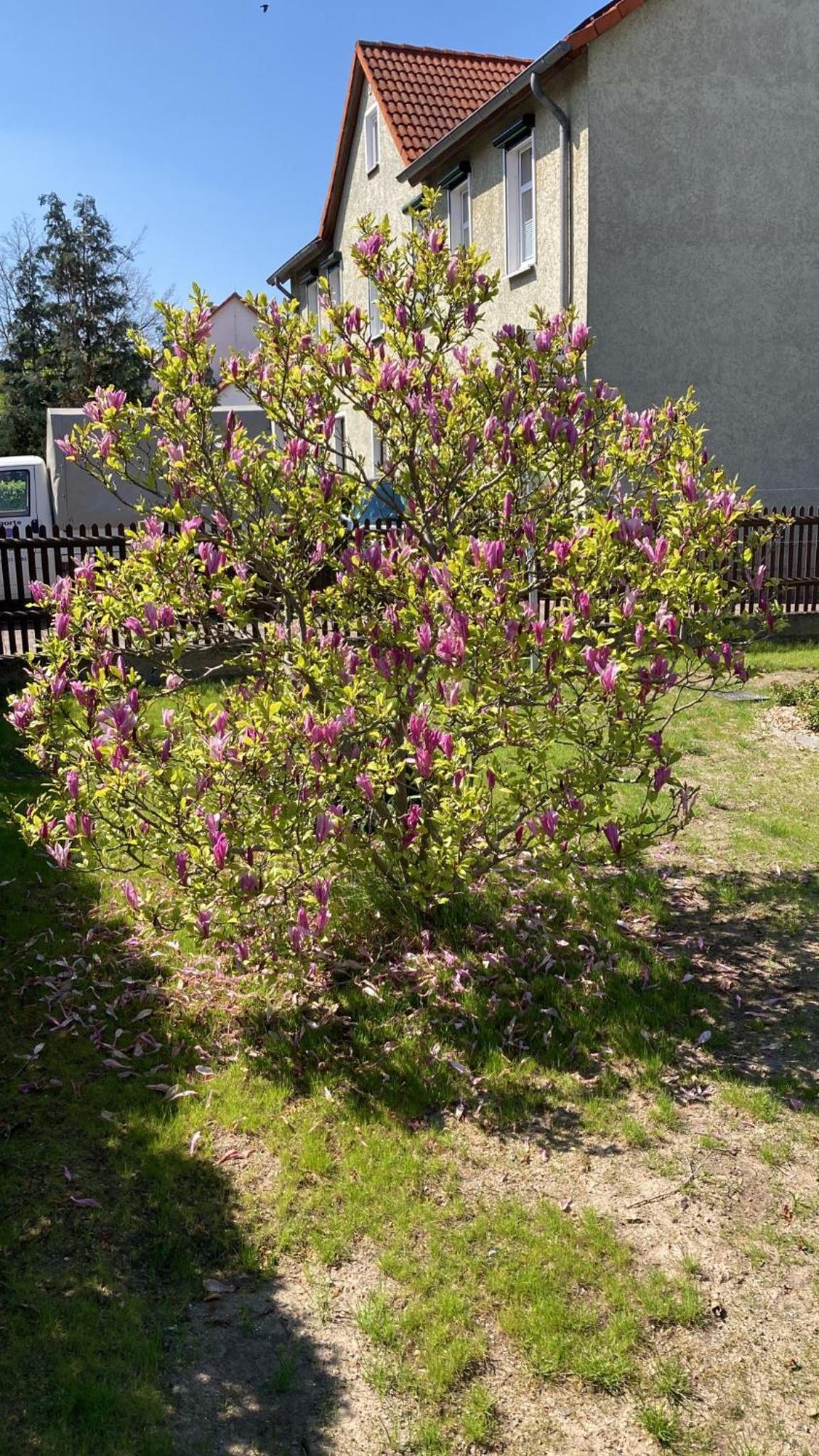 Photo 33