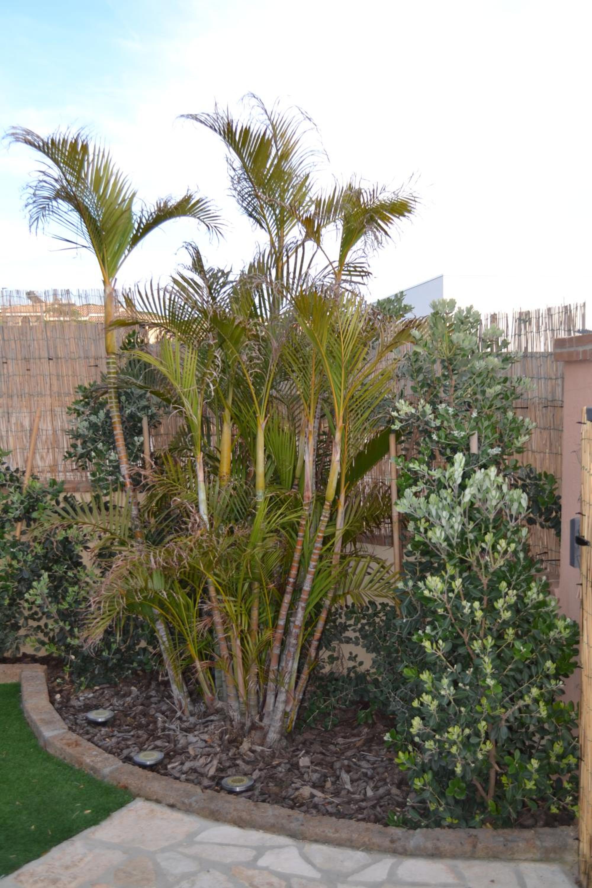 Photo 42