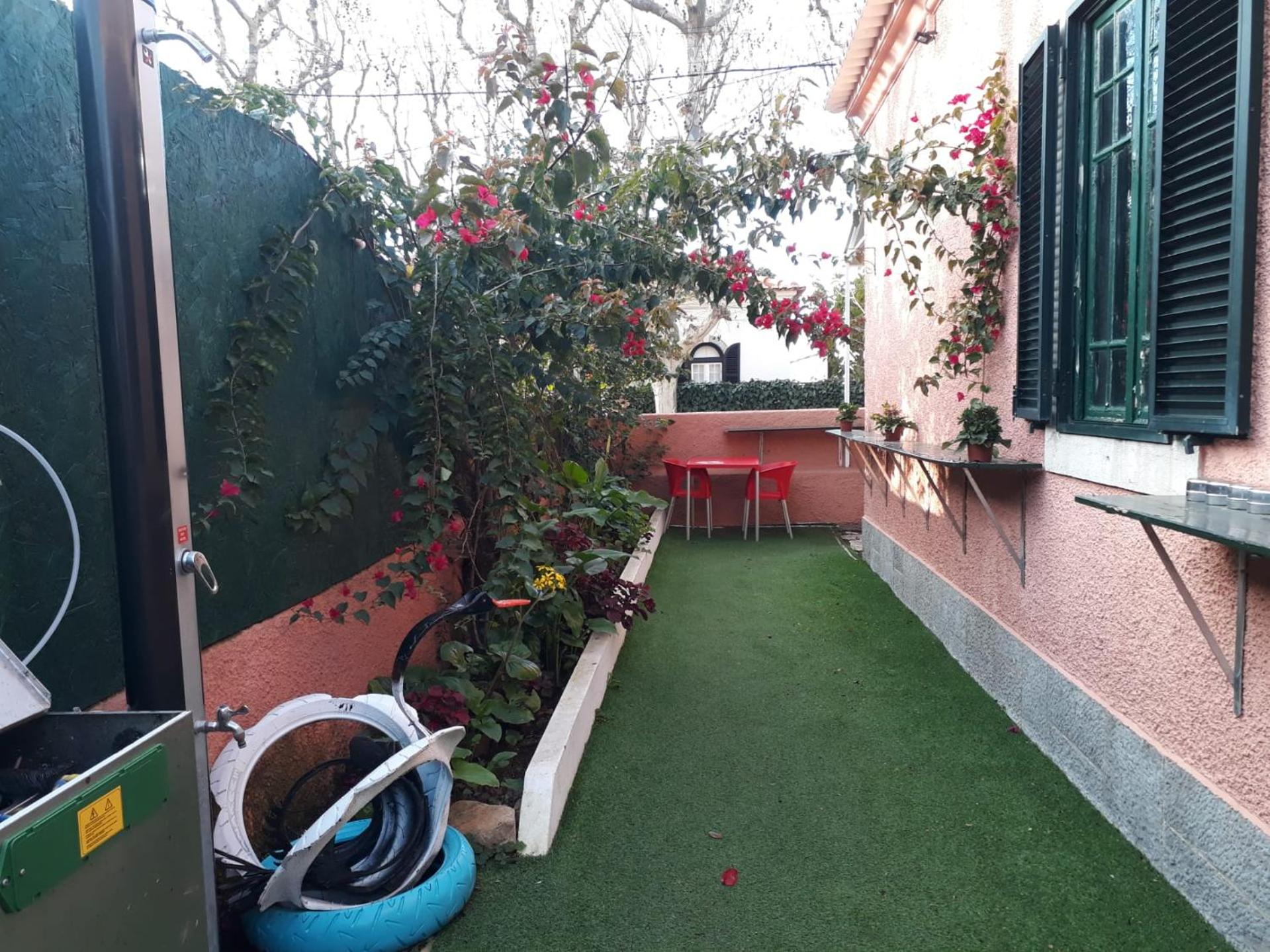 Photo 41