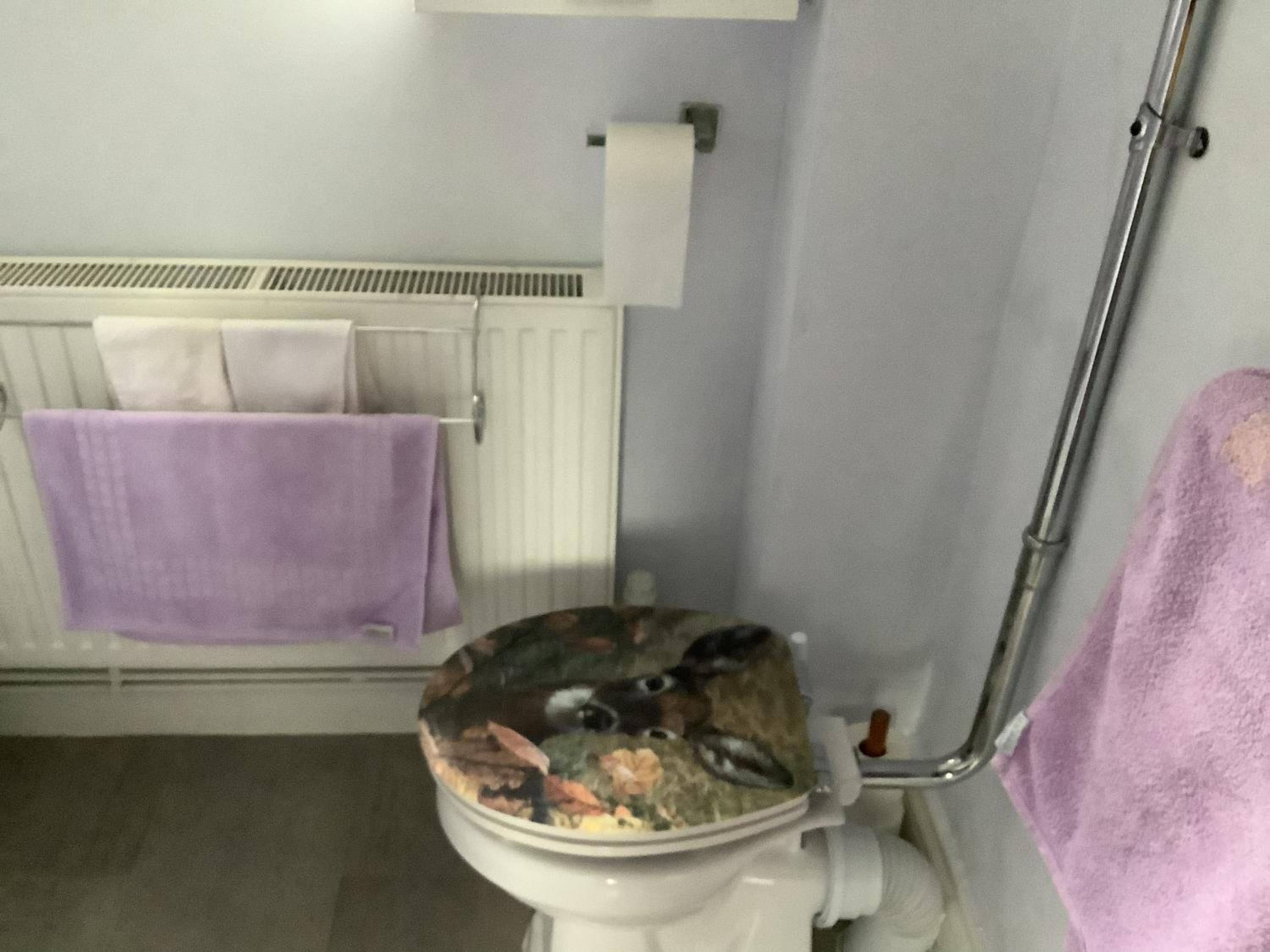 Photo 38