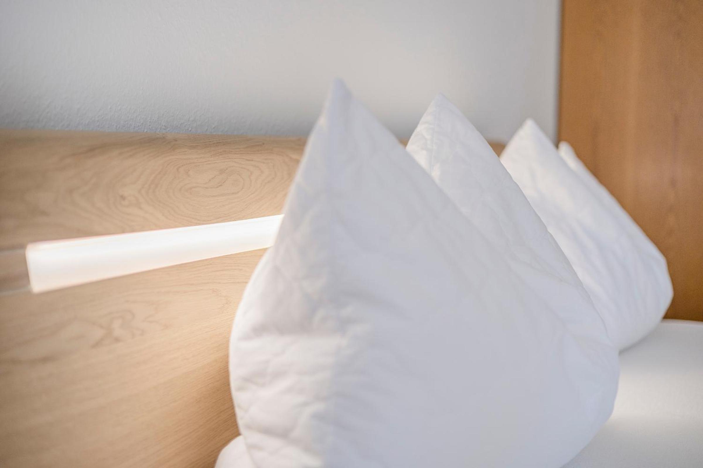 Ferienwohnpark Immenstaad am Bodensee Ein-Zimmer-Apartment 55 10