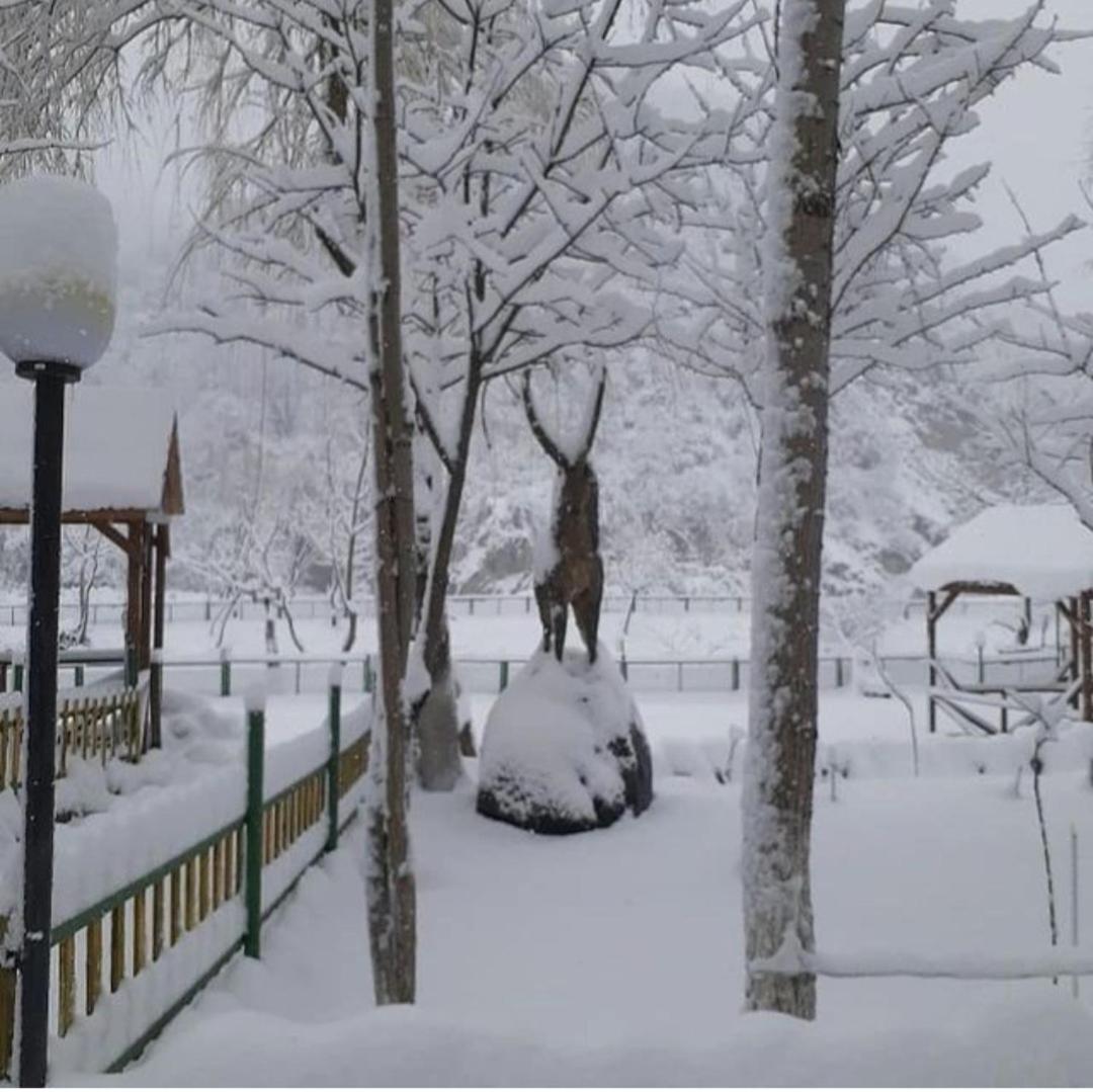 ECOHOTEL ''QIZIL Dere''