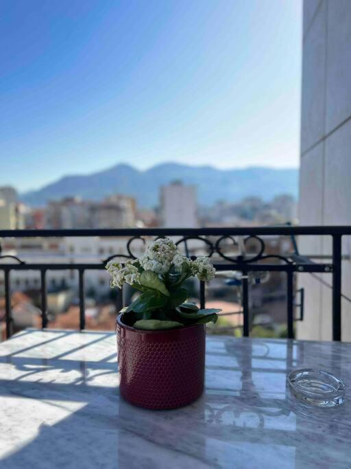 Mozart House - Spacious Luxury Apartment - Heart of the City