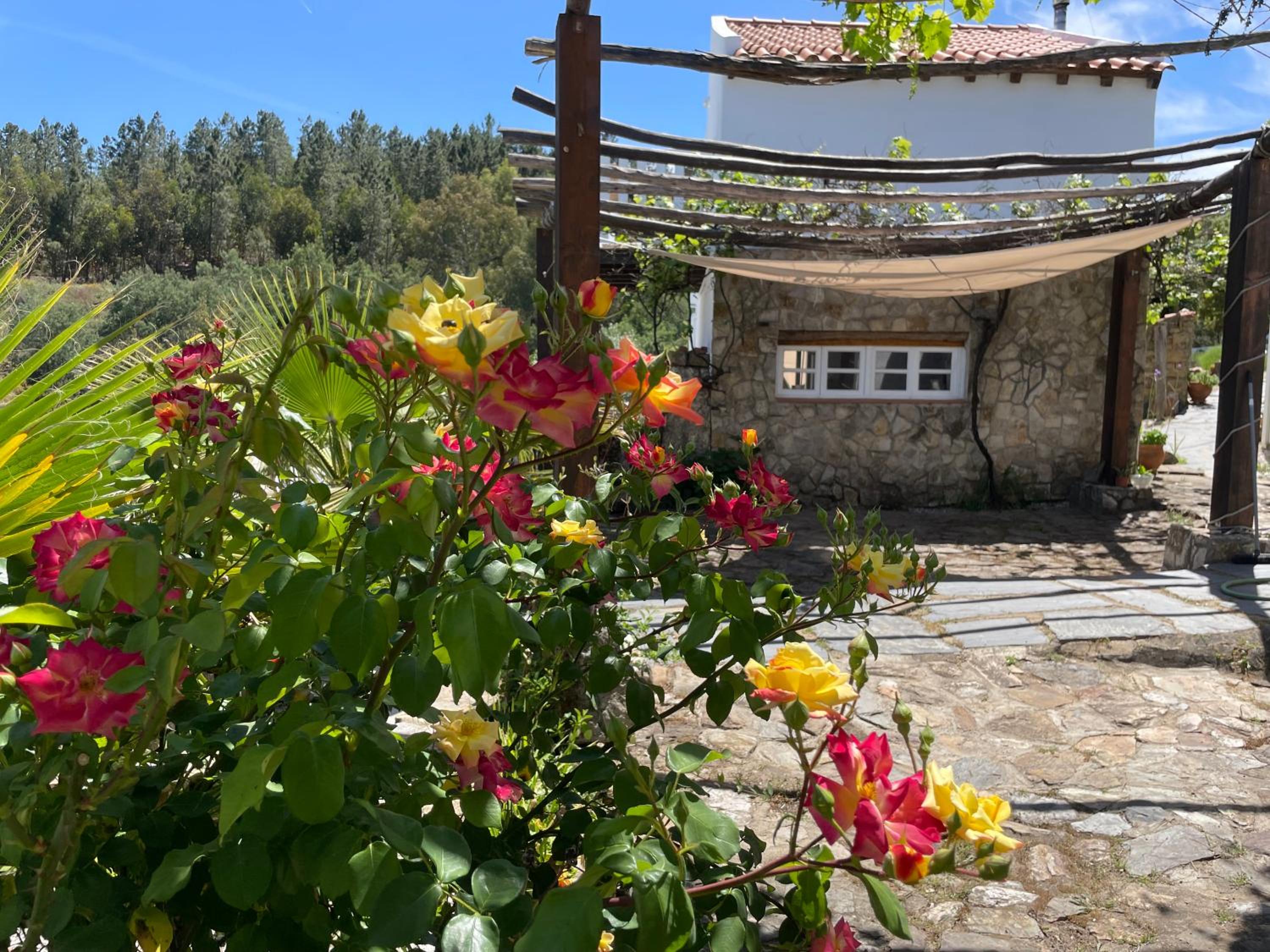 Casa Pollard view 5