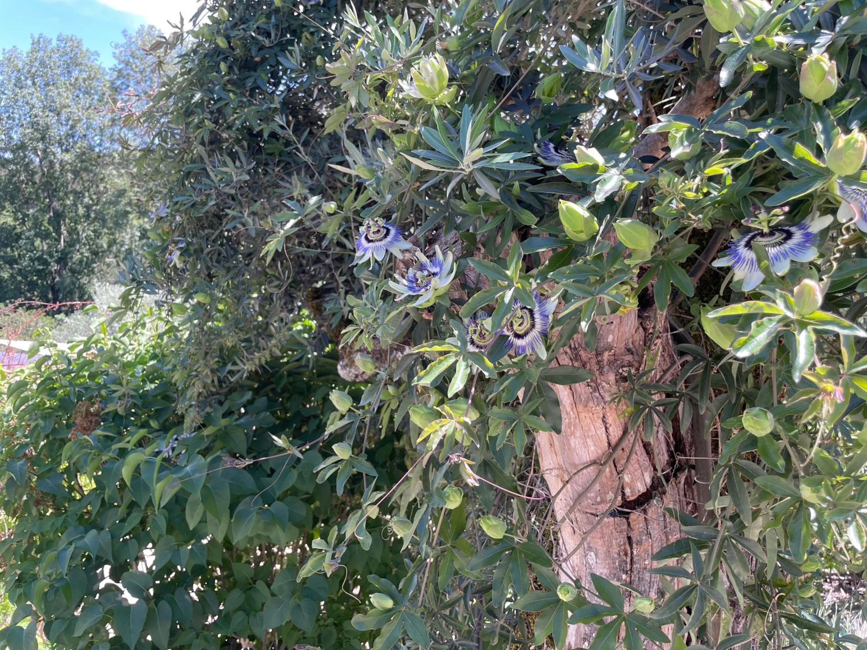Photo 14