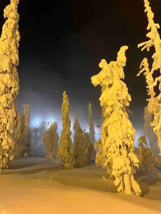 Ruka Chalet Front Base