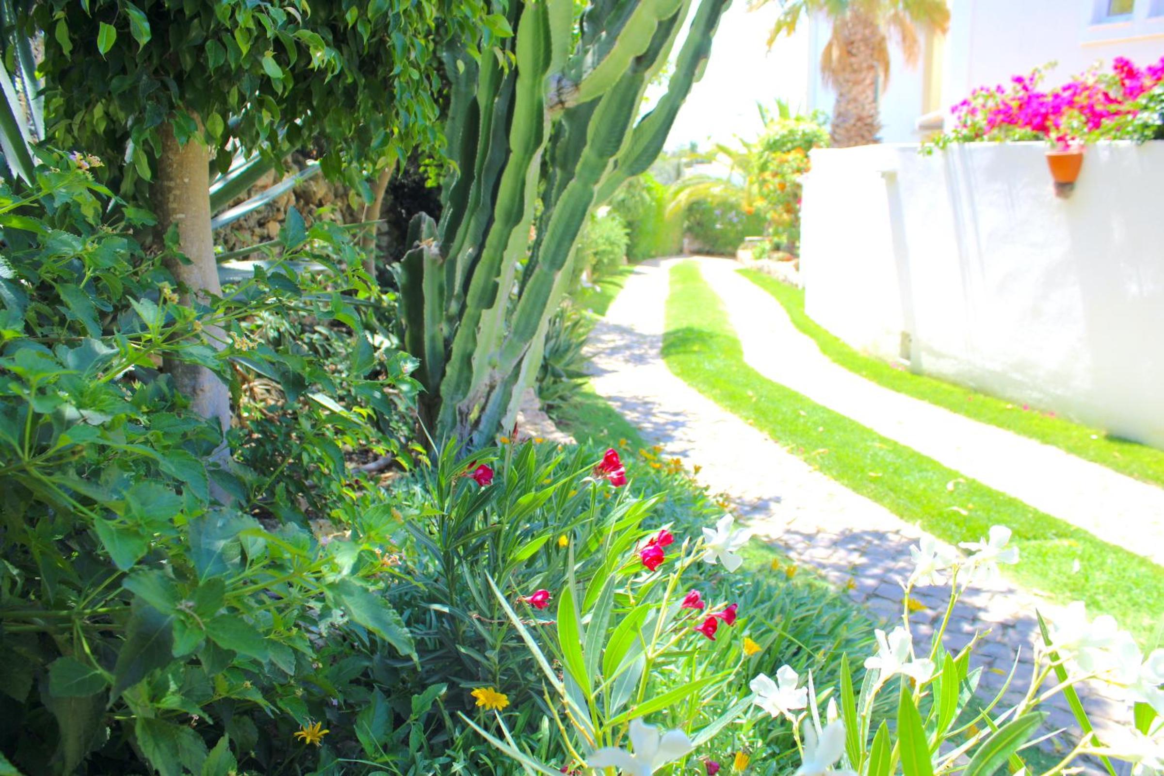 Photo 40