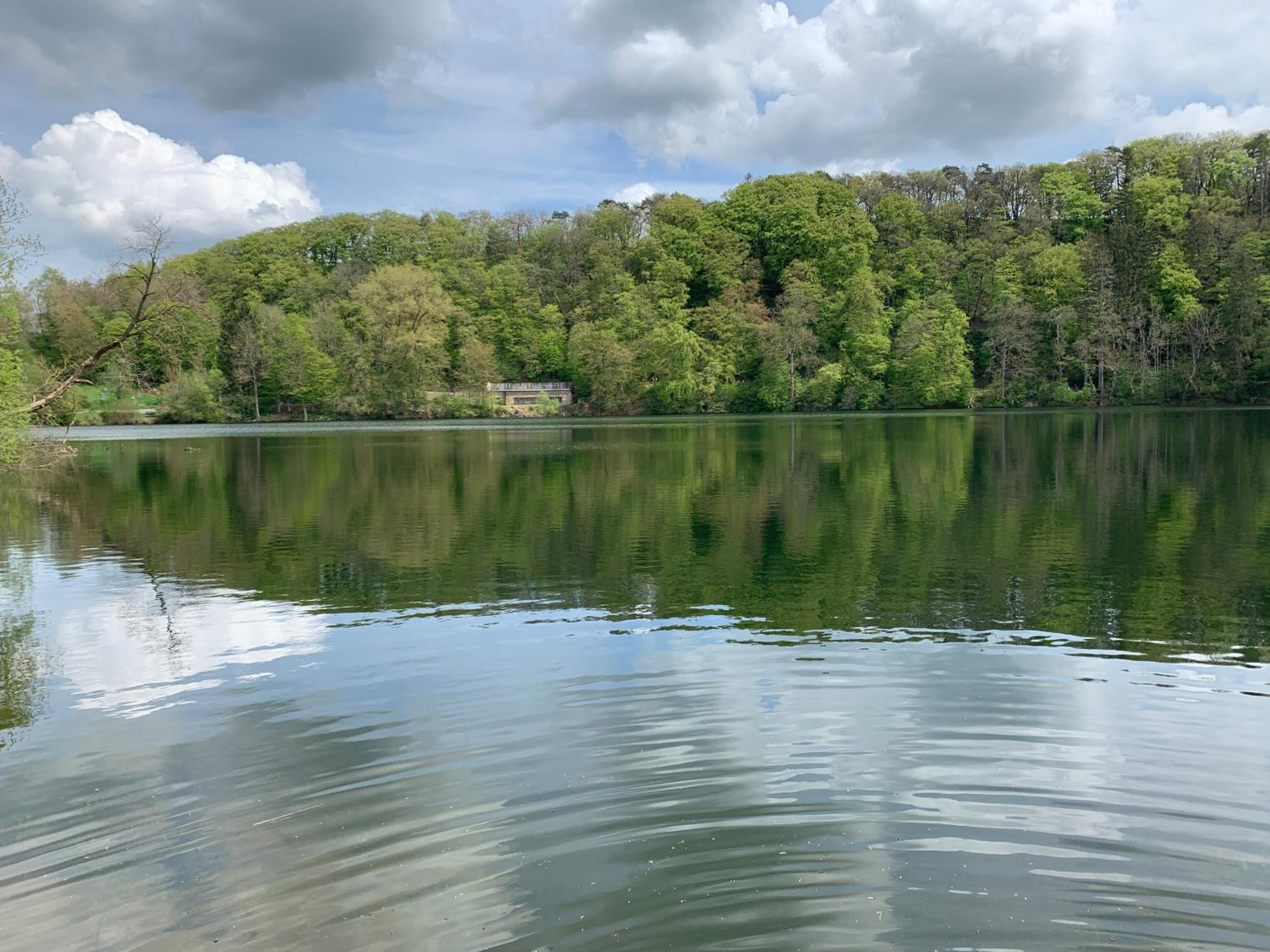 Ferienhaus Eifelstuben mit Charme - Bauernstube Vulkaneifel - Nähe See und Burgruine