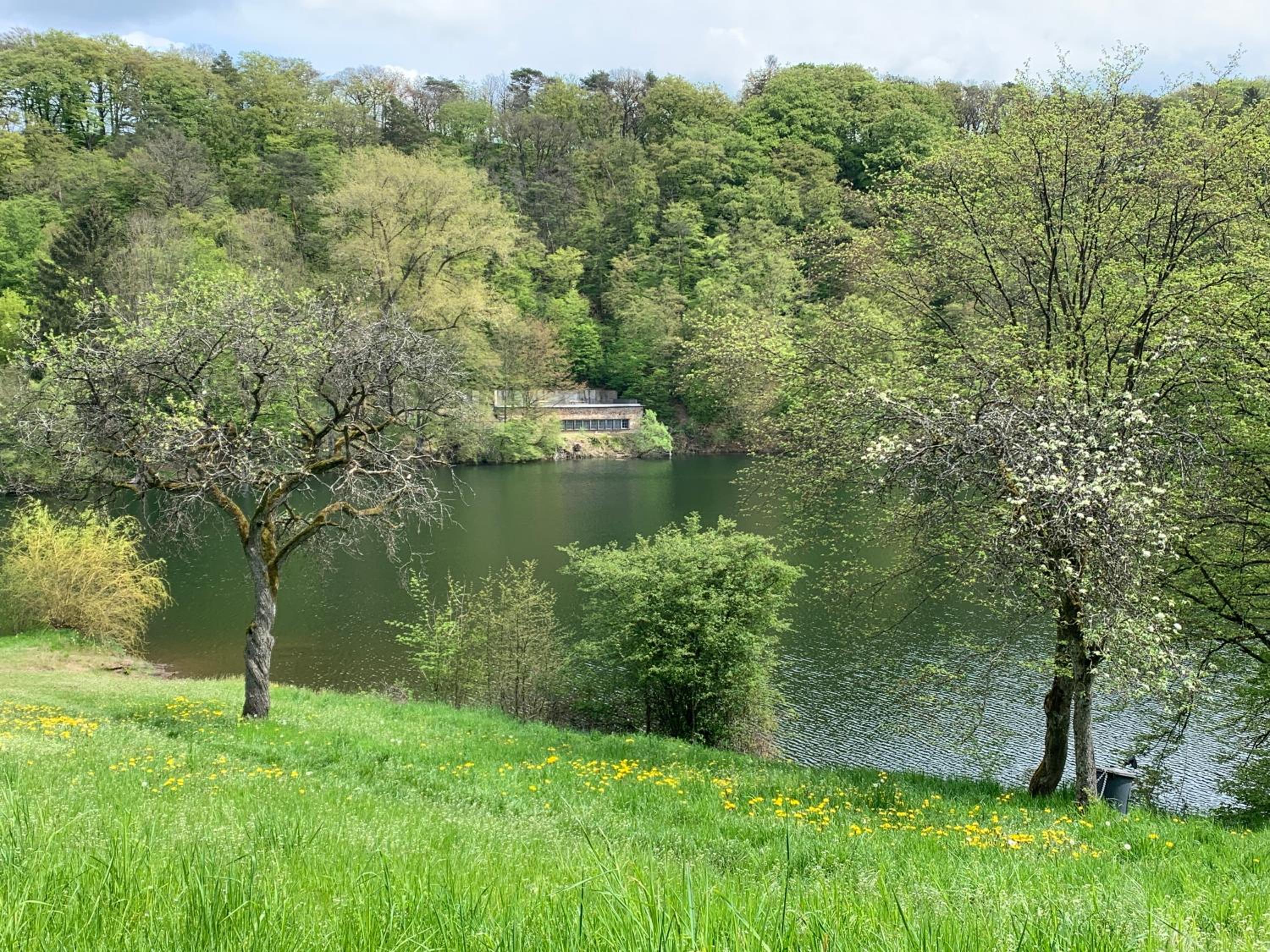 Ferienhaus Eifelstuben mit Charme - Bauernstube Vulkaneifel - Nähe See und Burgruine