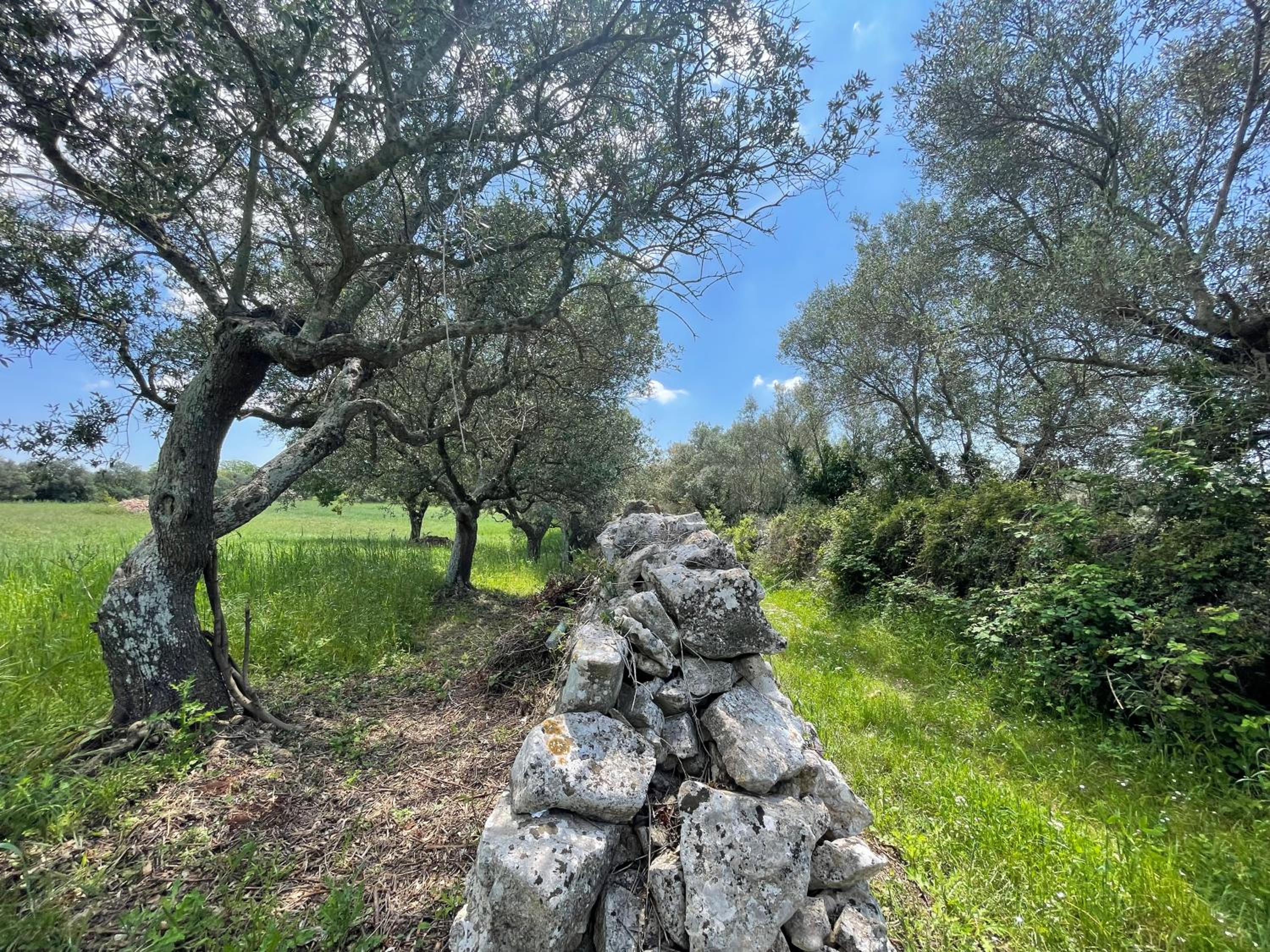 Trullo Trullallero