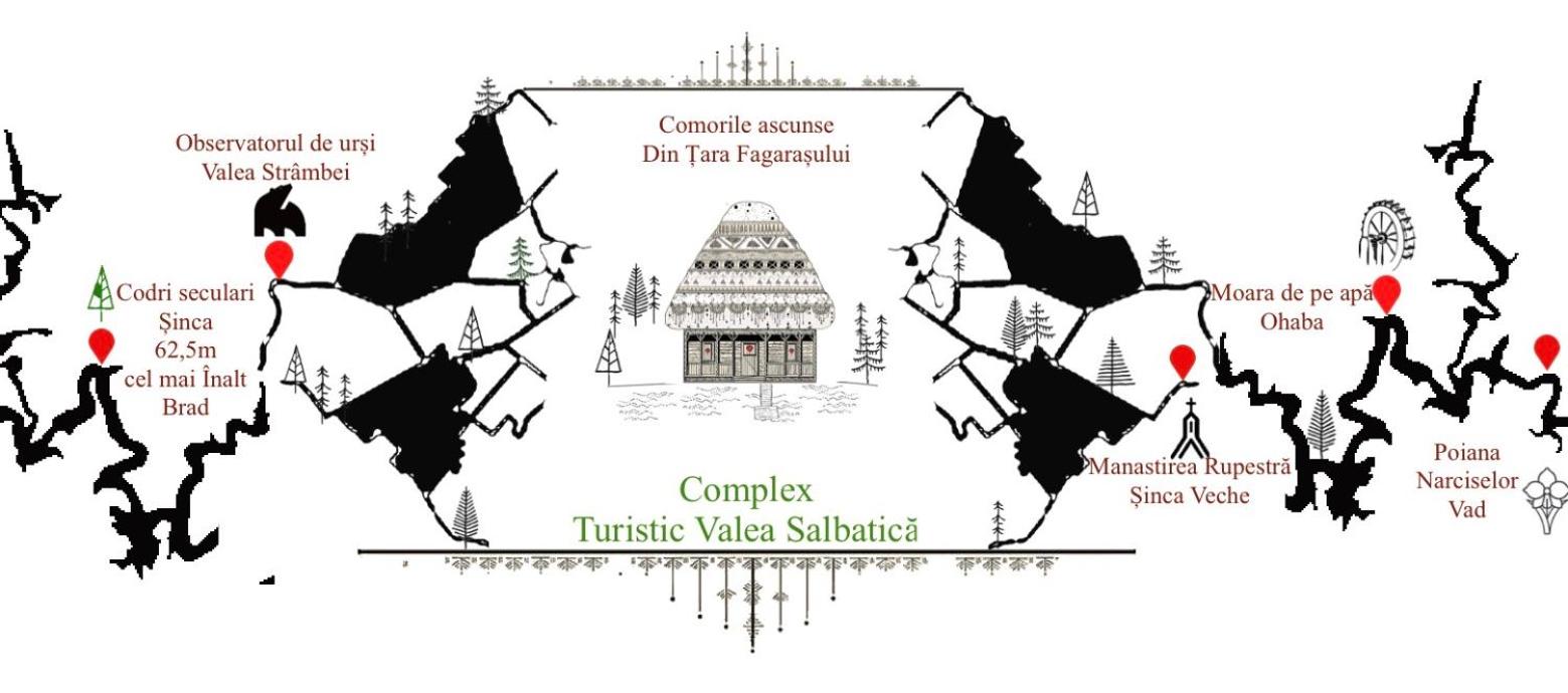 Valea Salbatica