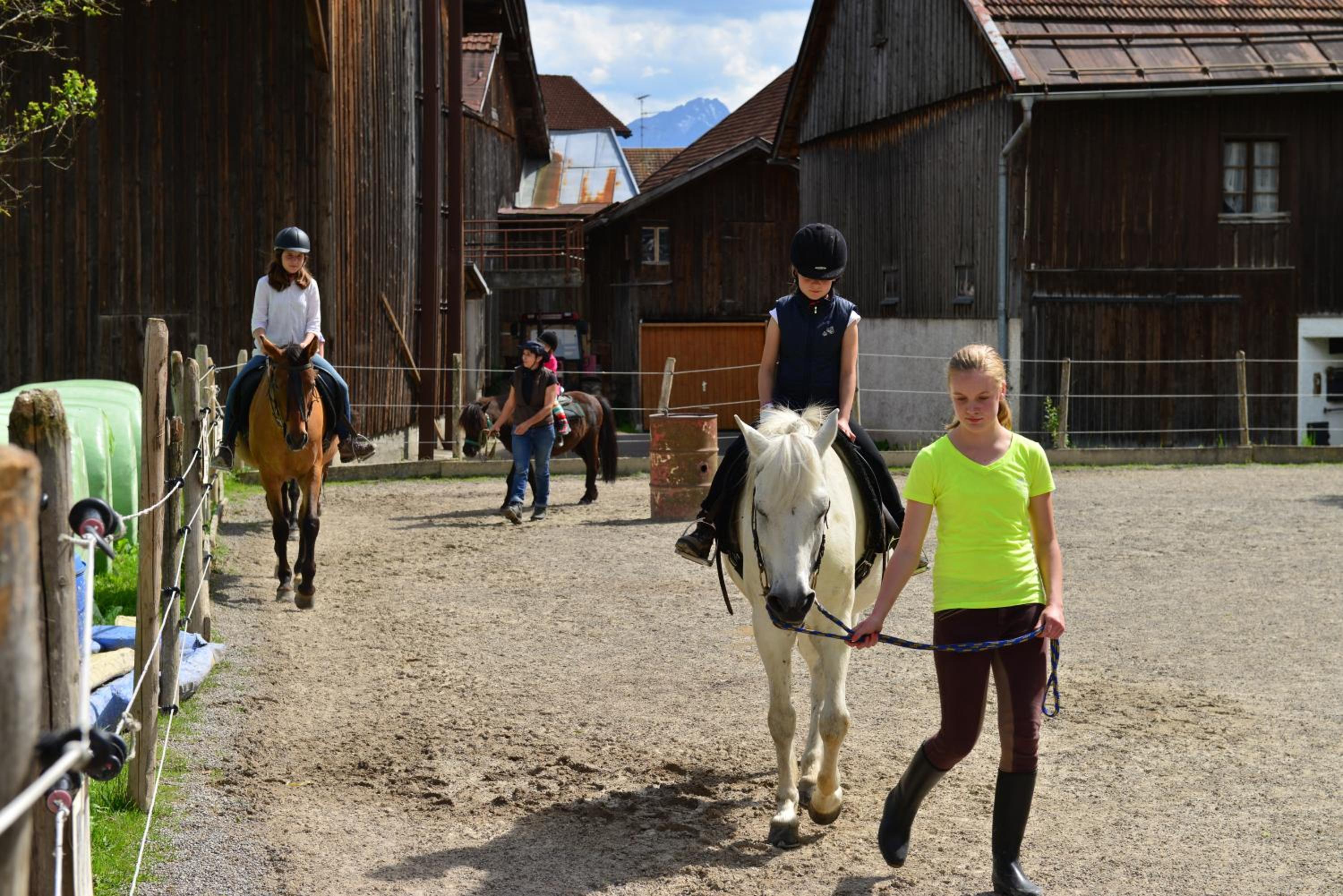 Ponyhof Schöllang