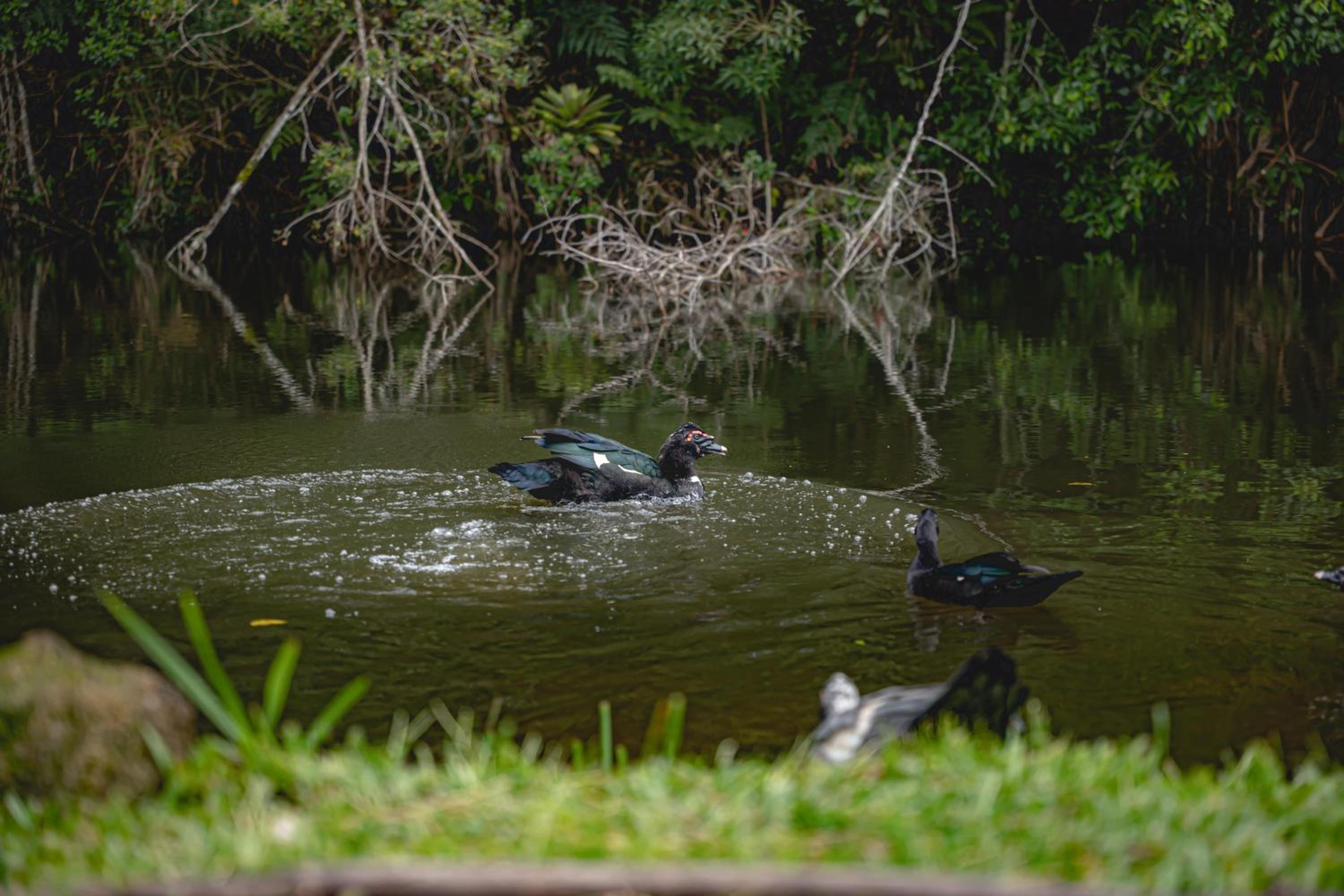 Reserva Mata Grande - Nature Park
