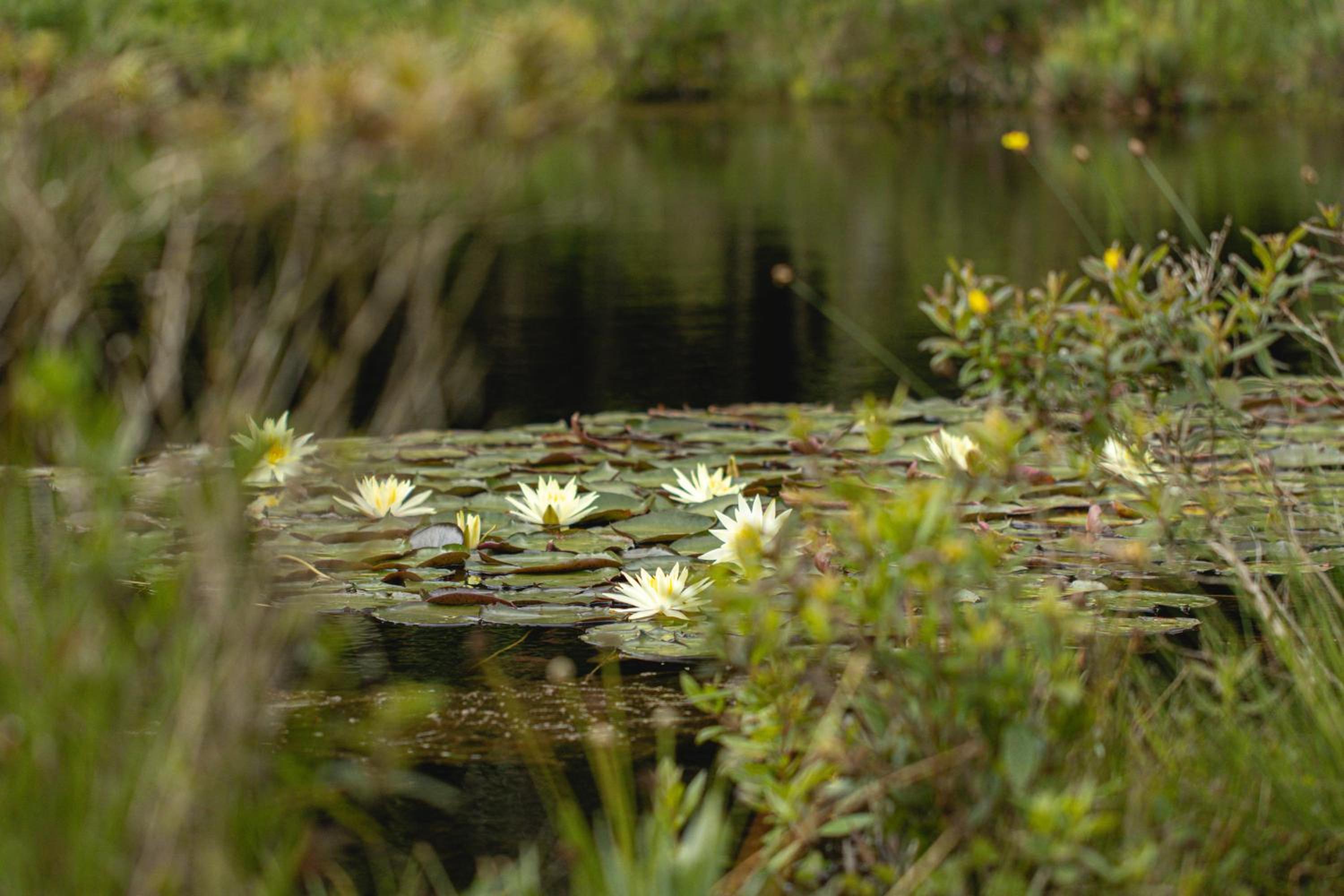 Reserva Mata Grande - Nature Park