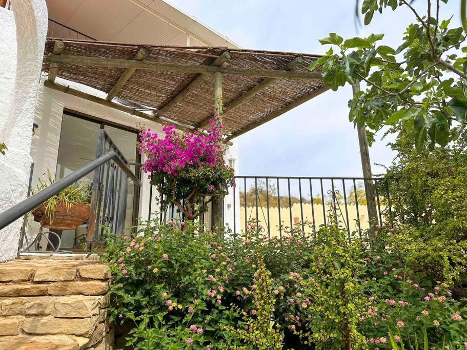 Villa Los Faramondos Naturehouse
